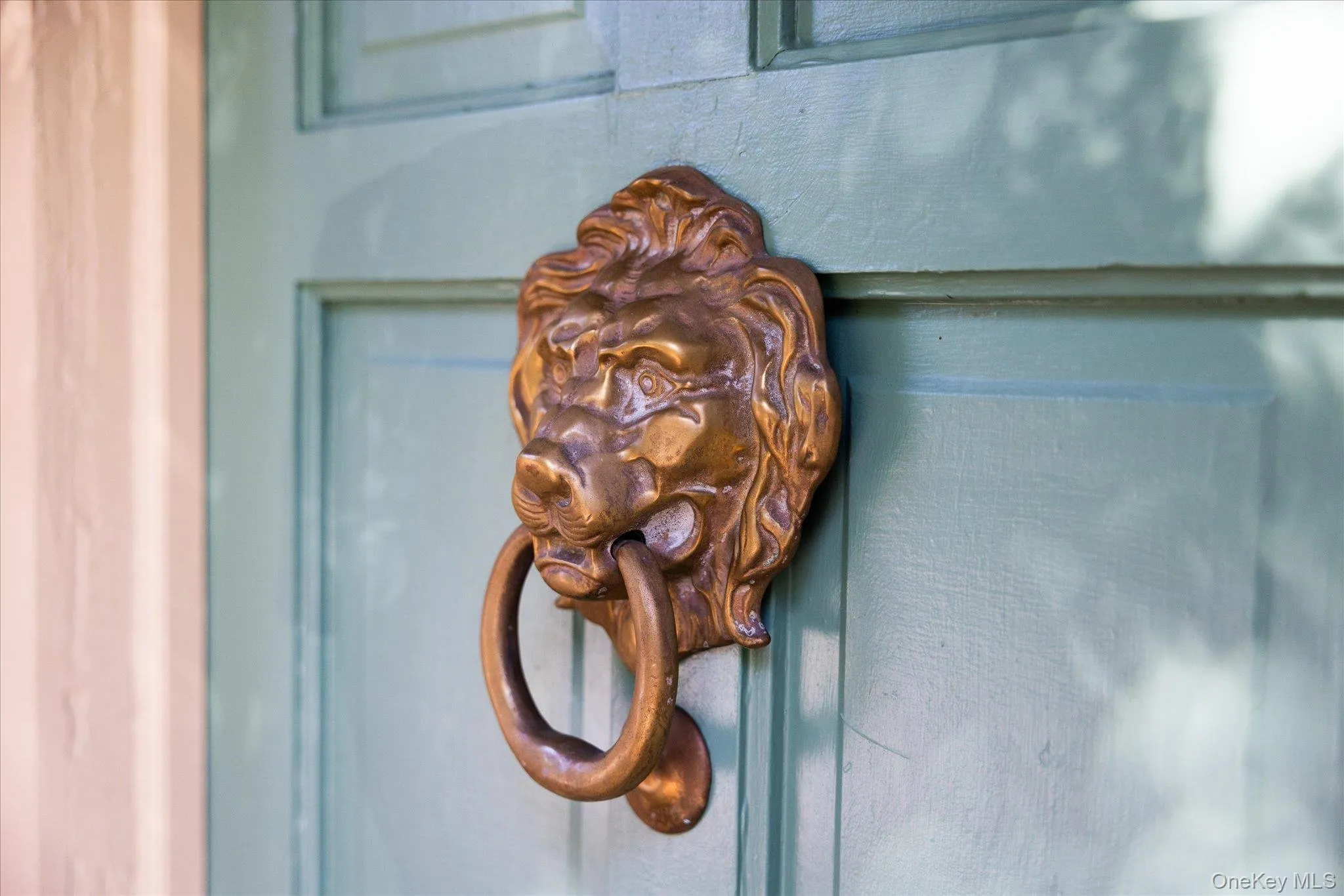 Panel door with a brass lion head knocker Panel door with a brass lion head knocker