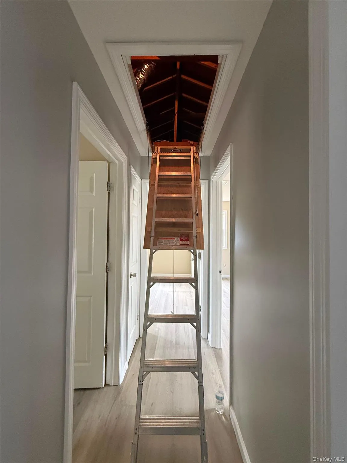21 Astoria Road, Brookhaven, NY, 3 Bedrooms Bedrooms, 5 Rooms Rooms,1 BathroomBathrooms,Residential,For Rent,Astoria,0,1048803 21 Astoria Road, Brookhaven, NY, 3 Bedrooms Bedrooms, 5 Rooms Rooms,1 BathroomBathrooms,Residential,For Rent,Astoria,0,1048803