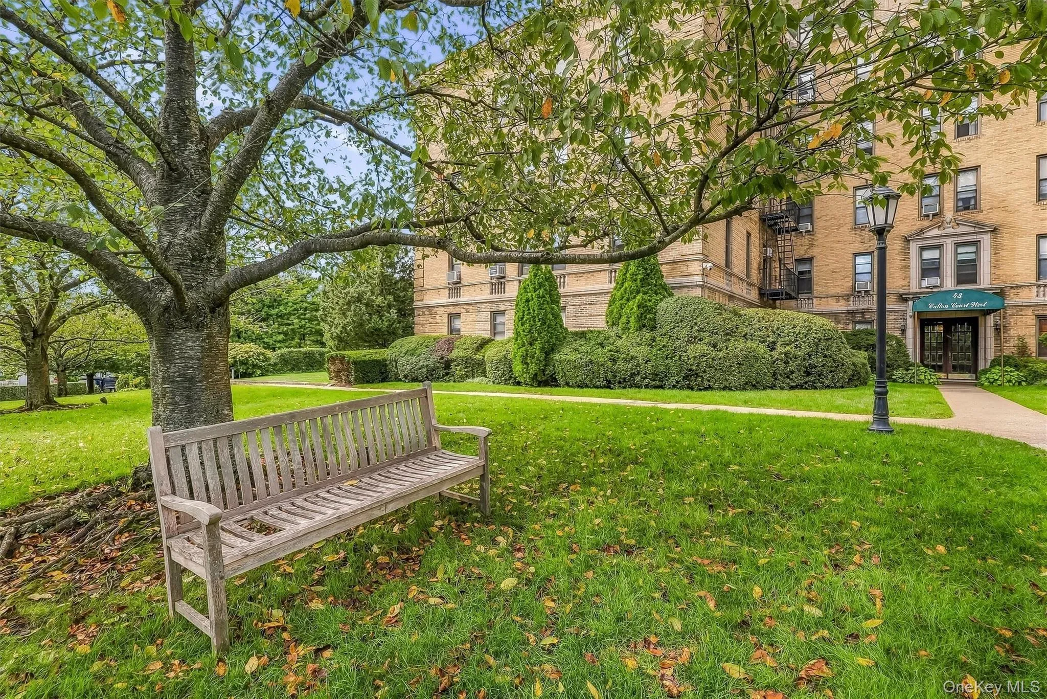 43 Calton Road, New Rochelle, NY, 1 Bedroom Bedrooms, 3 Rooms Rooms,1 BathroomBathrooms,Residential,For Rent,Calton,0,1048818 43 Calton Road, New Rochelle, NY, 1 Bedroom Bedrooms, 3 Rooms Rooms,1 BathroomBathrooms,Residential,For Rent,Calton,0,1048818