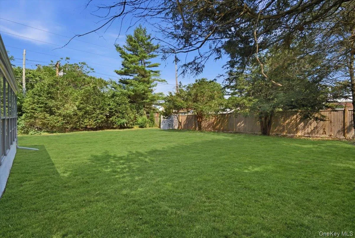 Back Yard Back Yard