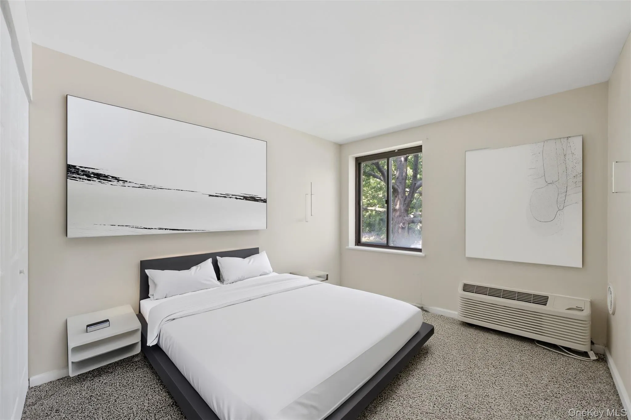Second bedroom with large closet Second bedroom with large closet