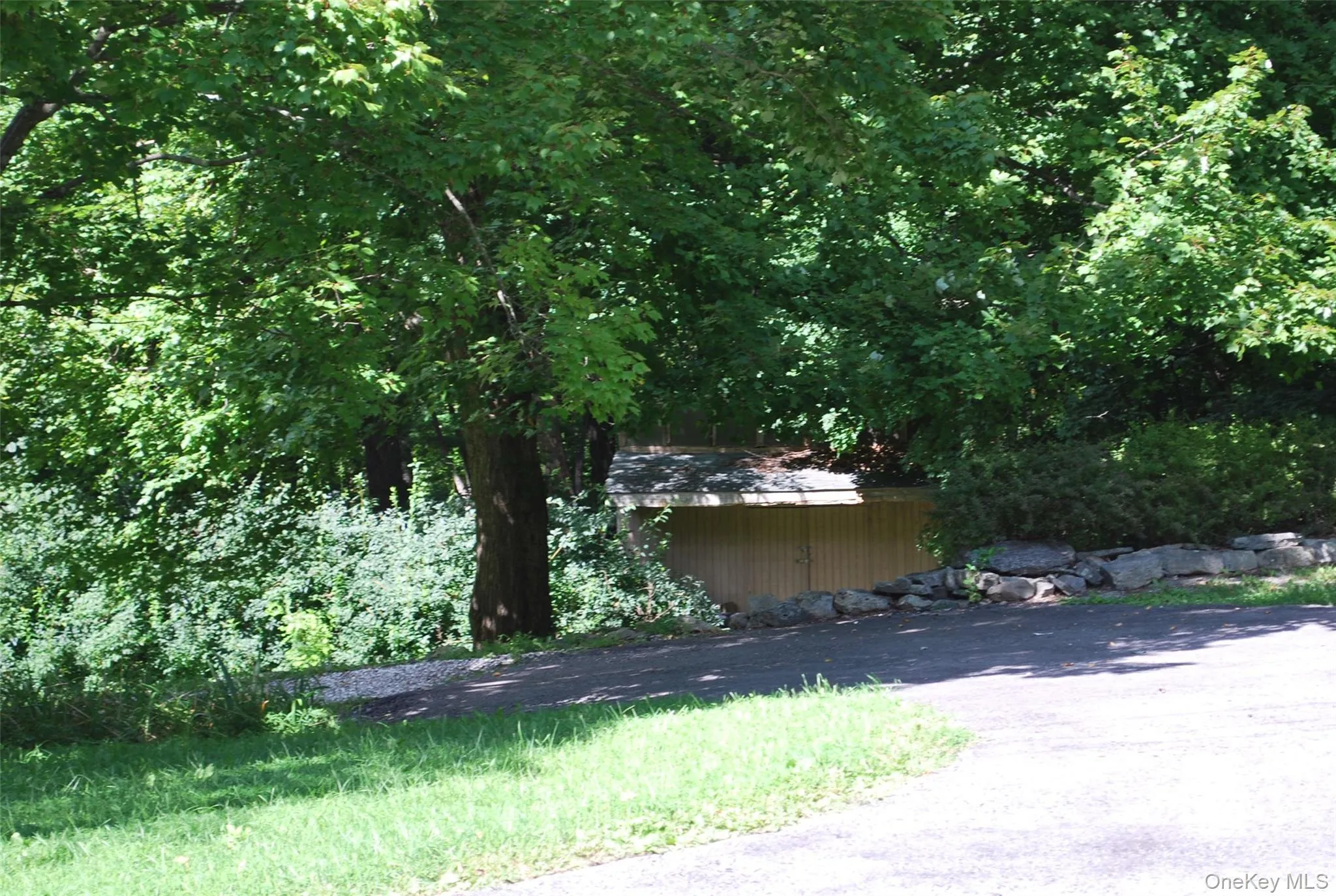 Shed Shed