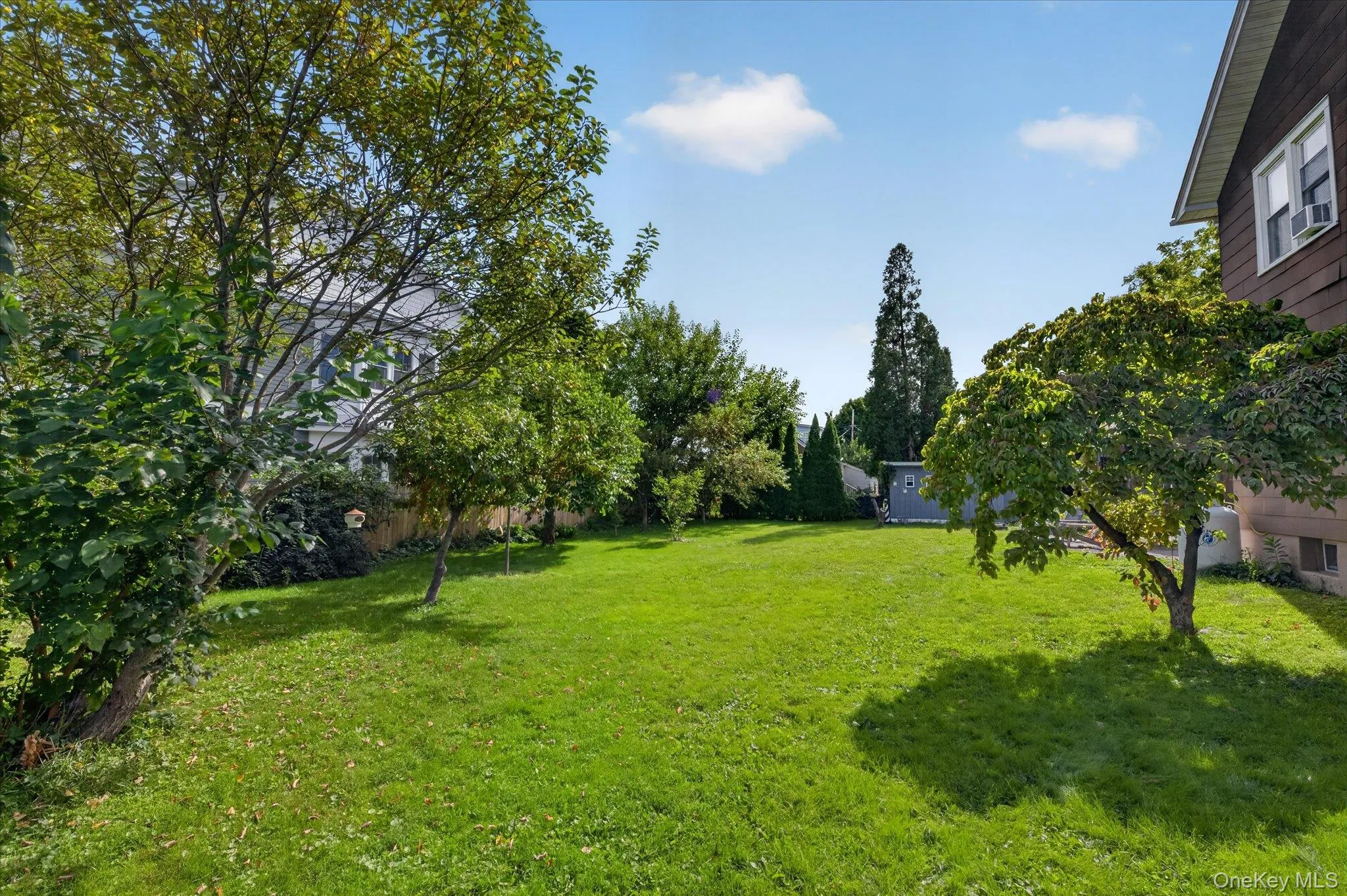 Shared Yard Shared Yard