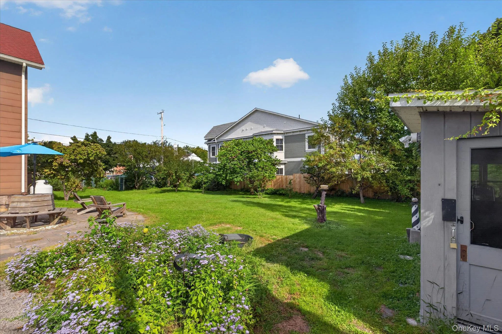 Shared Yard Shared Yard