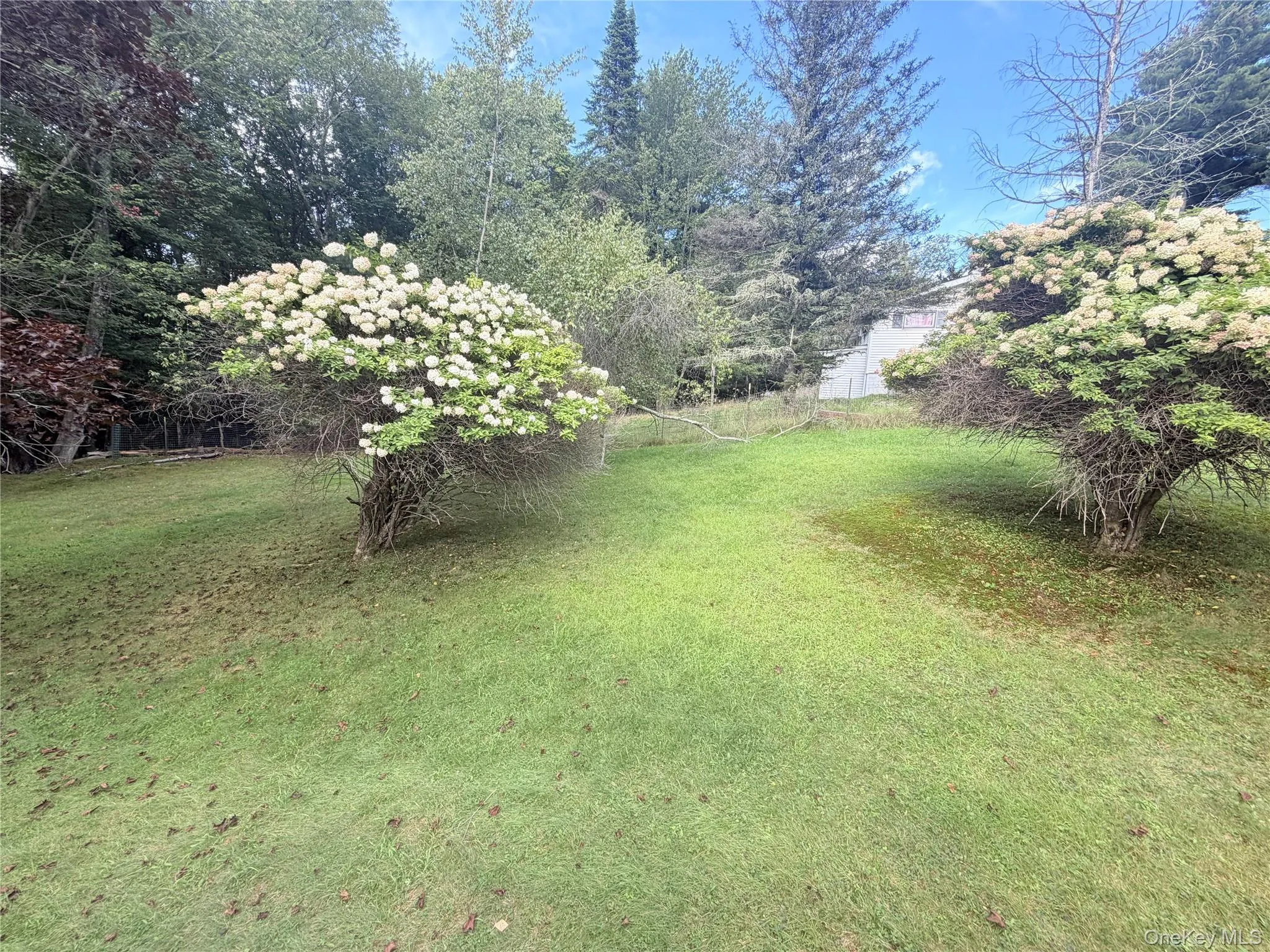 25 Miles, Fallsburg, NY, 2 Bedroom Bedrooms, 4 Room Rooms,1 BathroomBathrooms,Residential Lease,For Rent,Miles,0,1048943 25 Miles, Fallsburg, NY, 2 Bedroom Bedrooms, 4 Room Rooms,1 BathroomBathrooms,Residential Lease,For Rent,Miles,0,1048943