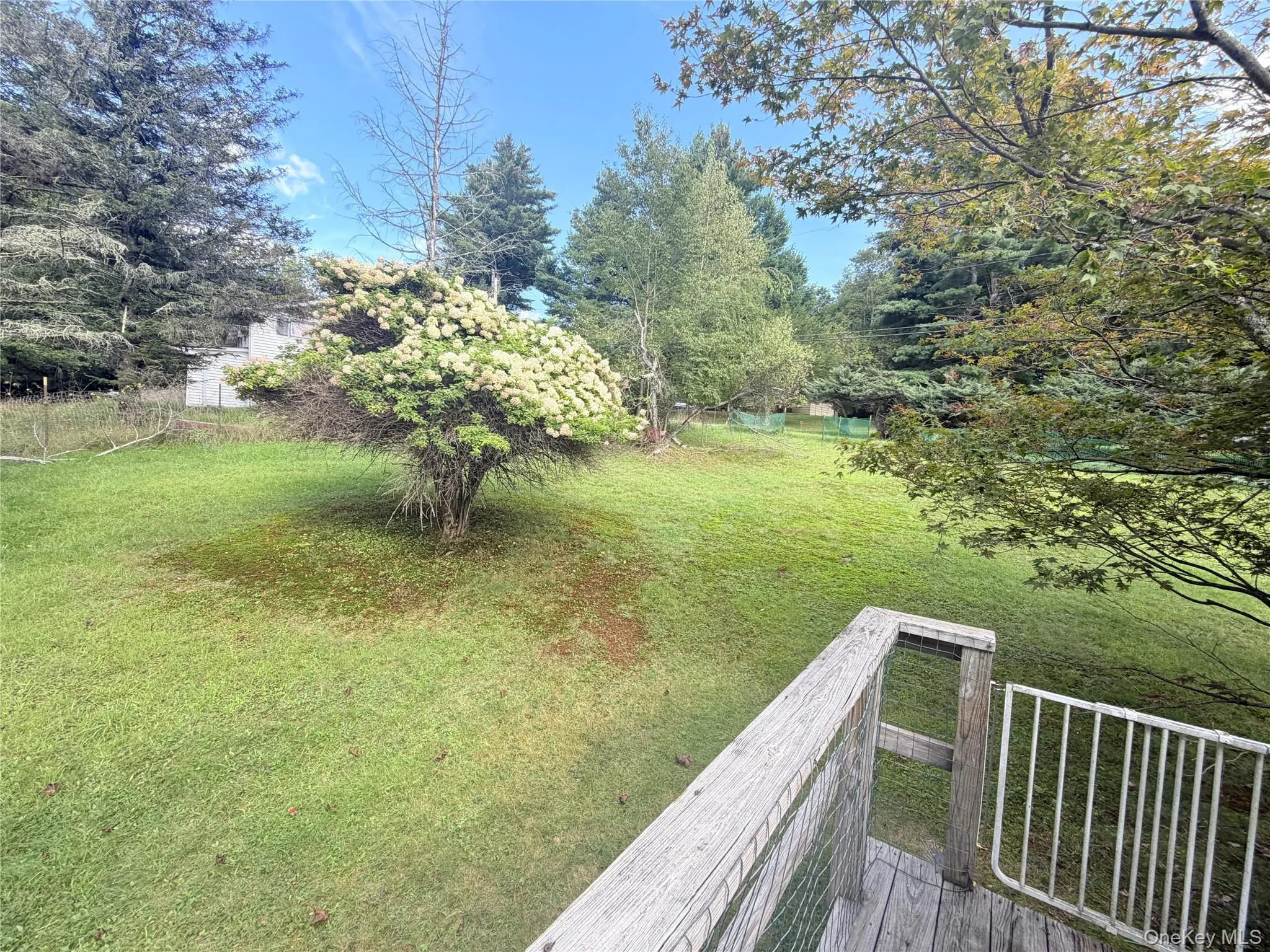 25 Miles, Fallsburg, NY, 2 Bedroom Bedrooms, 4 Room Rooms,1 BathroomBathrooms,Residential Lease,For Rent,Miles,0,1048943 25 Miles, Fallsburg, NY, 2 Bedroom Bedrooms, 4 Room Rooms,1 BathroomBathrooms,Residential Lease,For Rent,Miles,0,1048943