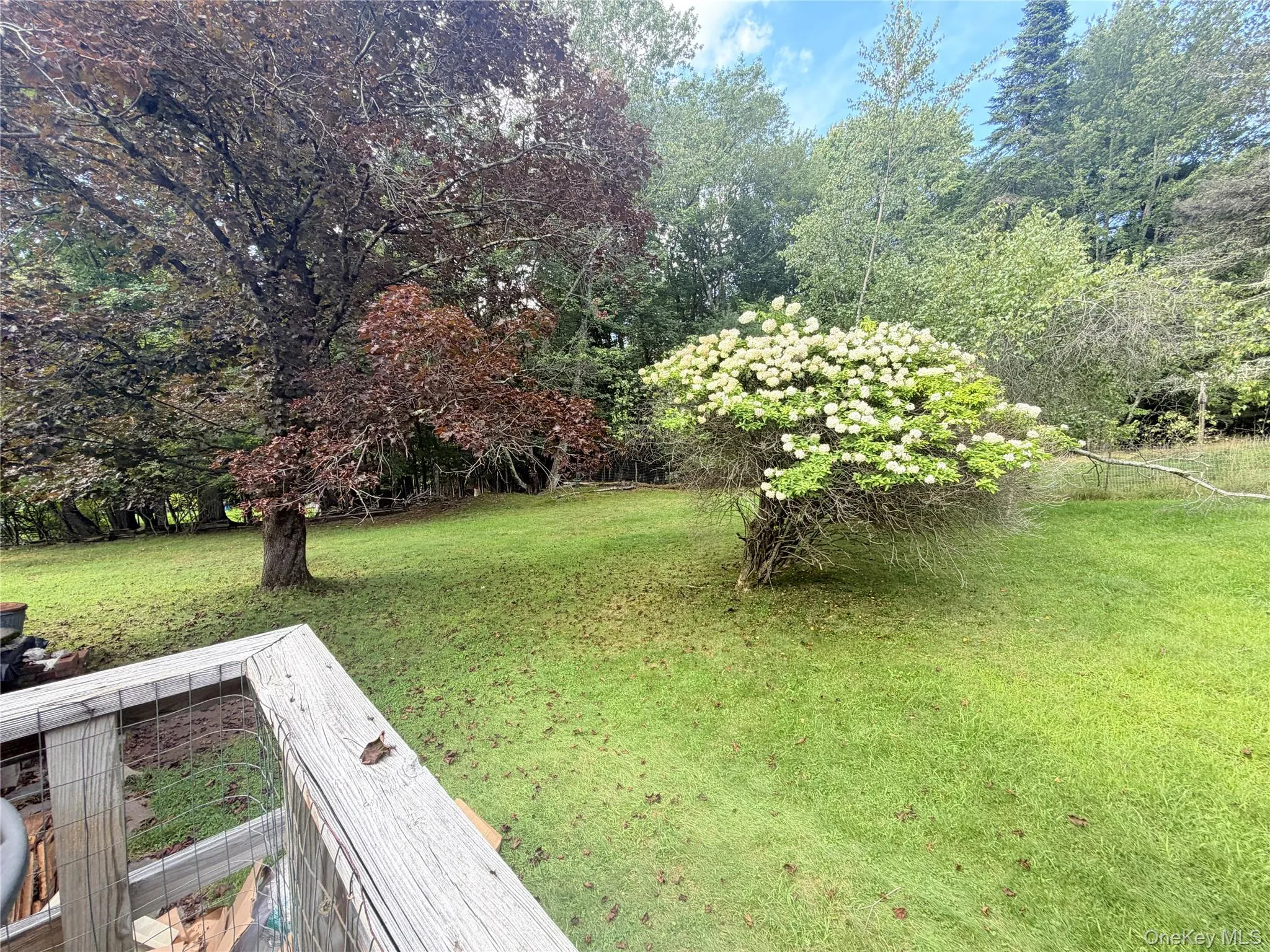 25 Miles, Fallsburg, NY, 2 Bedroom Bedrooms, 4 Room Rooms,1 BathroomBathrooms,Residential Lease,For Rent,Miles,0,1048943 25 Miles, Fallsburg, NY, 2 Bedroom Bedrooms, 4 Room Rooms,1 BathroomBathrooms,Residential Lease,For Rent,Miles,0,1048943