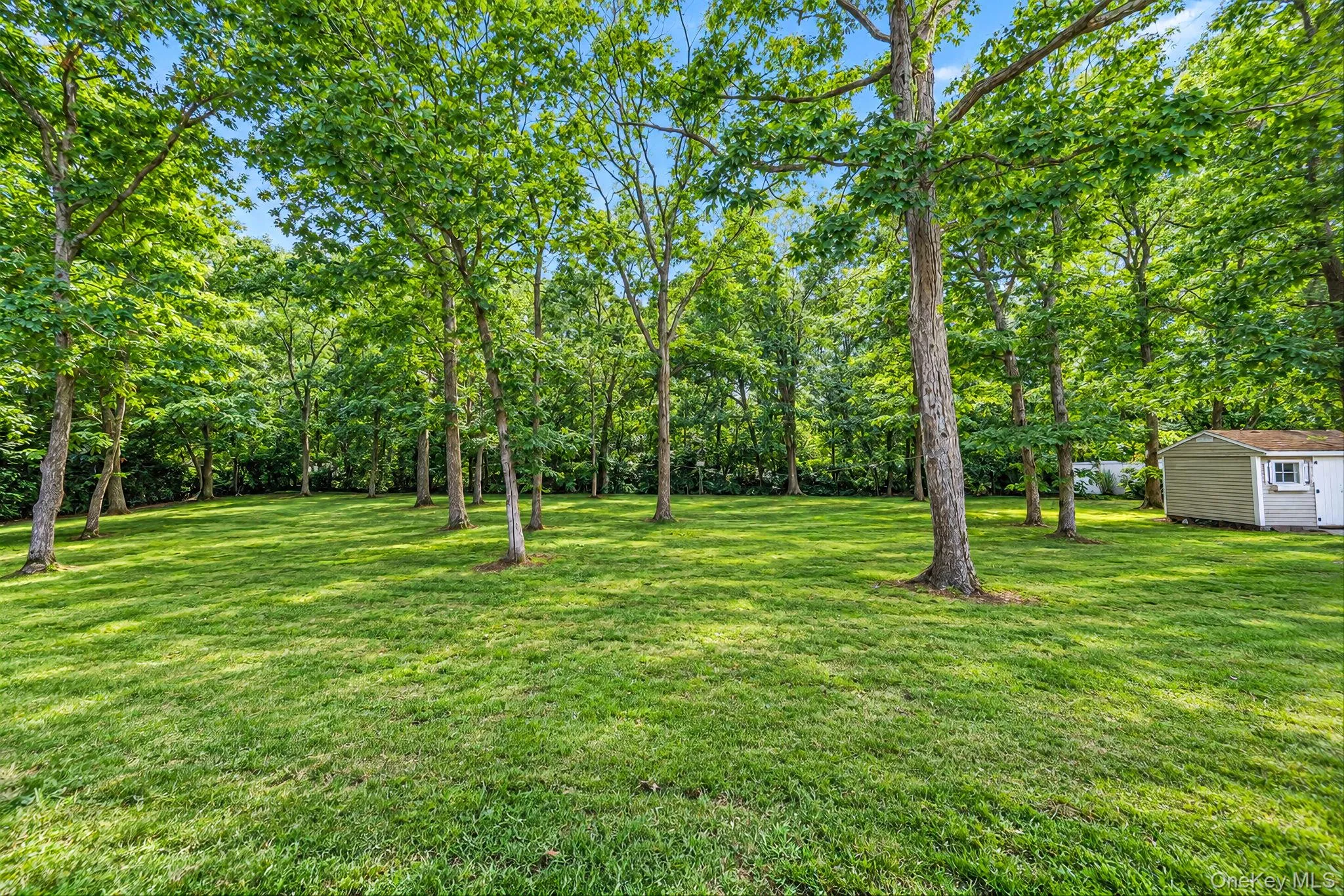 8 Sommerset Drive, Brookhaven, NY, 3 Bedrooms Bedrooms, 8 Rooms Rooms,1 BathroomBathrooms,Residential,For Rent,Sommerset,0,1048955 8 Sommerset Drive, Brookhaven, NY, 3 Bedrooms Bedrooms, 8 Rooms Rooms,1 BathroomBathrooms,Residential,For Rent,Sommerset,0,1048955