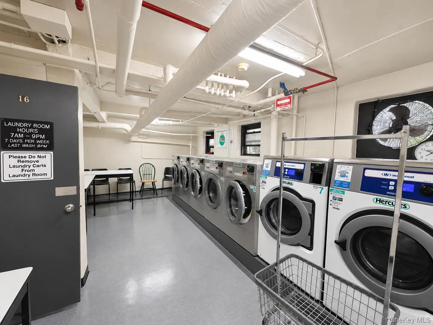 9205 Whitney Avenue, New York, NY, 1 Bedroom Bedrooms, 3 Rooms Rooms,1 BathroomBathrooms,Residential,For Rent,Whitney,0,1048966 9205 Whitney Avenue, New York, NY, 1 Bedroom Bedrooms, 3 Rooms Rooms,1 BathroomBathrooms,Residential,For Rent,Whitney,0,1048966
