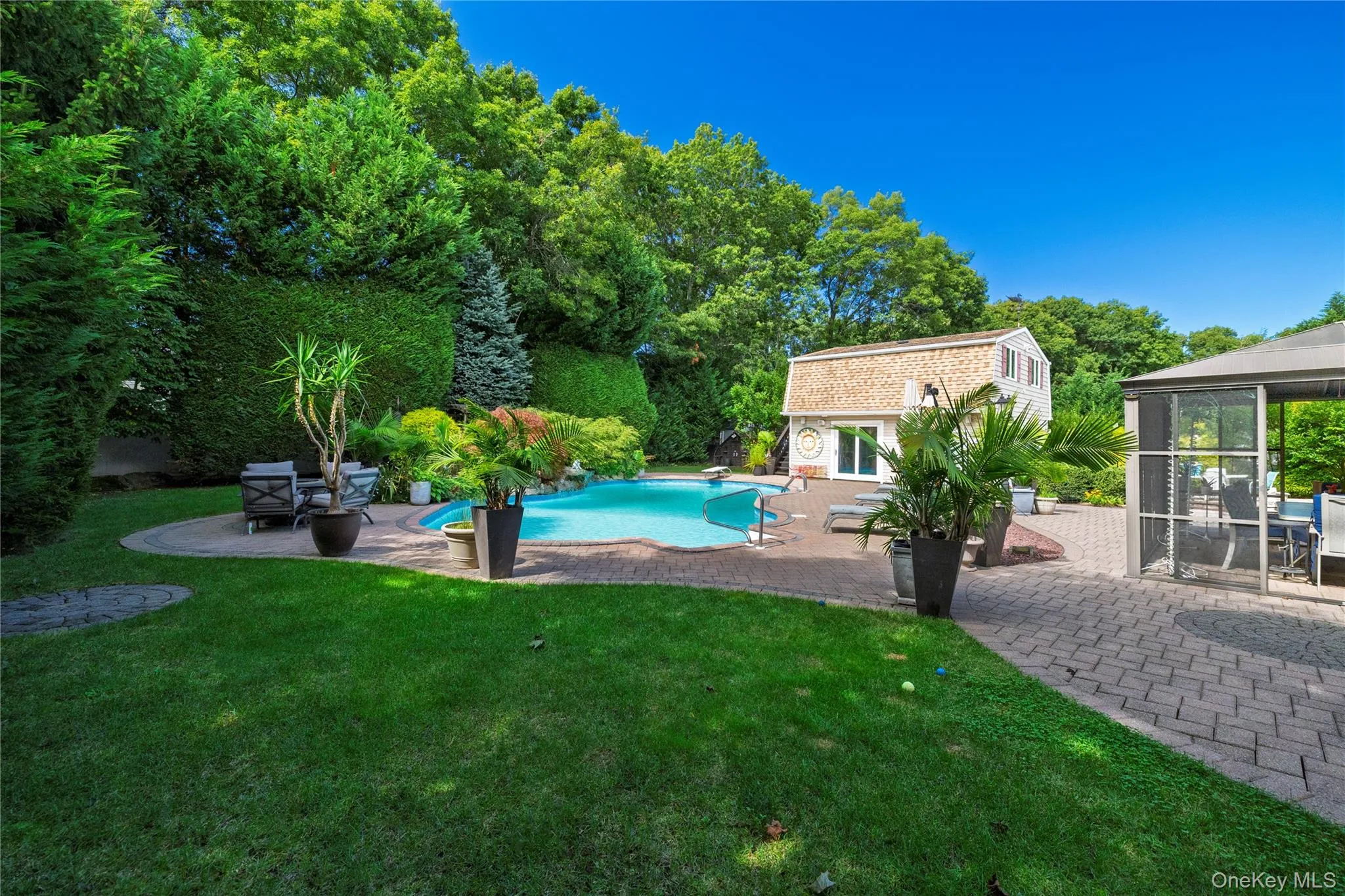 backyard, pool and patio backyard, pool and patio