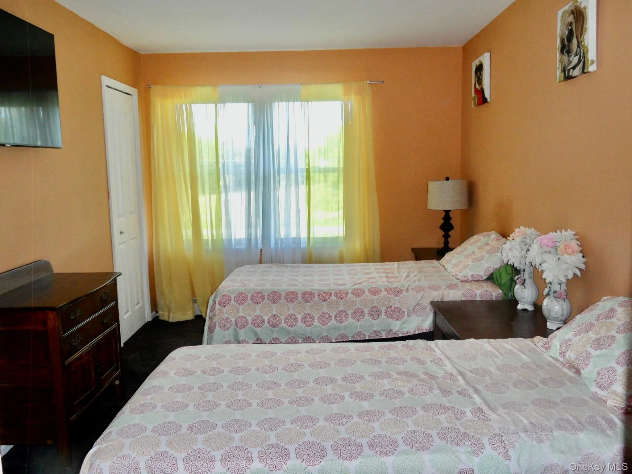 Double Closets &Carpeting Double Closets &Carpeting