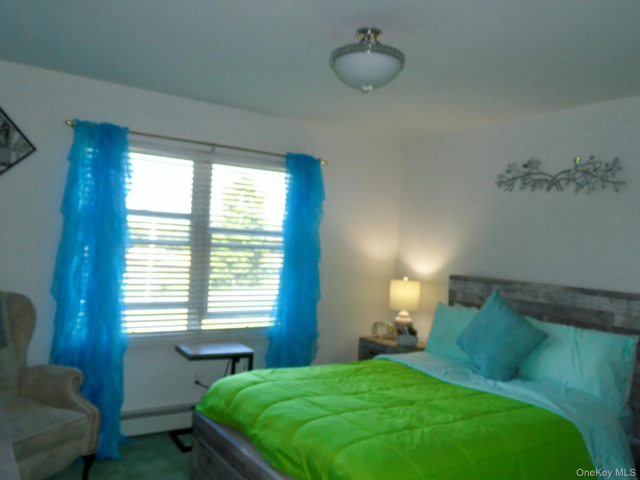 Closet & Carpeting Closet & Carpeting
