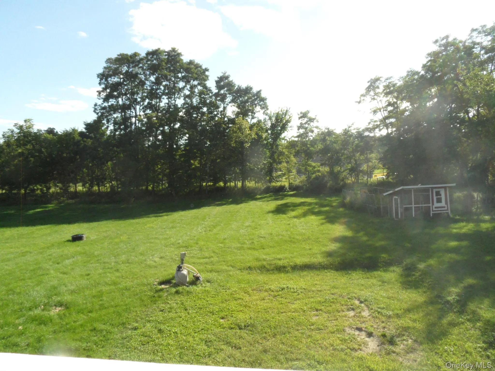 Backyard Backyard