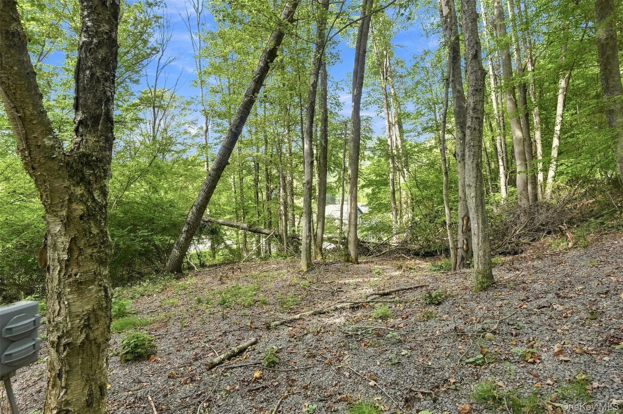 With 20 acres there are endless possibilities to subdivide (with town approval), explore, hunt or expand With 20 acres there are endless possibilities to subdivide (with town approval), explore, hunt or expand