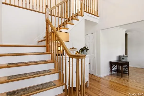 5 Old Neck Court, Brookhaven, NY, 5 Bedrooms Bedrooms, 11 Rooms Rooms,3 BathroomsBathrooms,Residential,For Rent,Old Neck,0,1049019 5 Old Neck Court, Brookhaven, NY, 5 Bedrooms Bedrooms, 11 Rooms Rooms,3 BathroomsBathrooms,Residential,For Rent,Old Neck,0,1049019