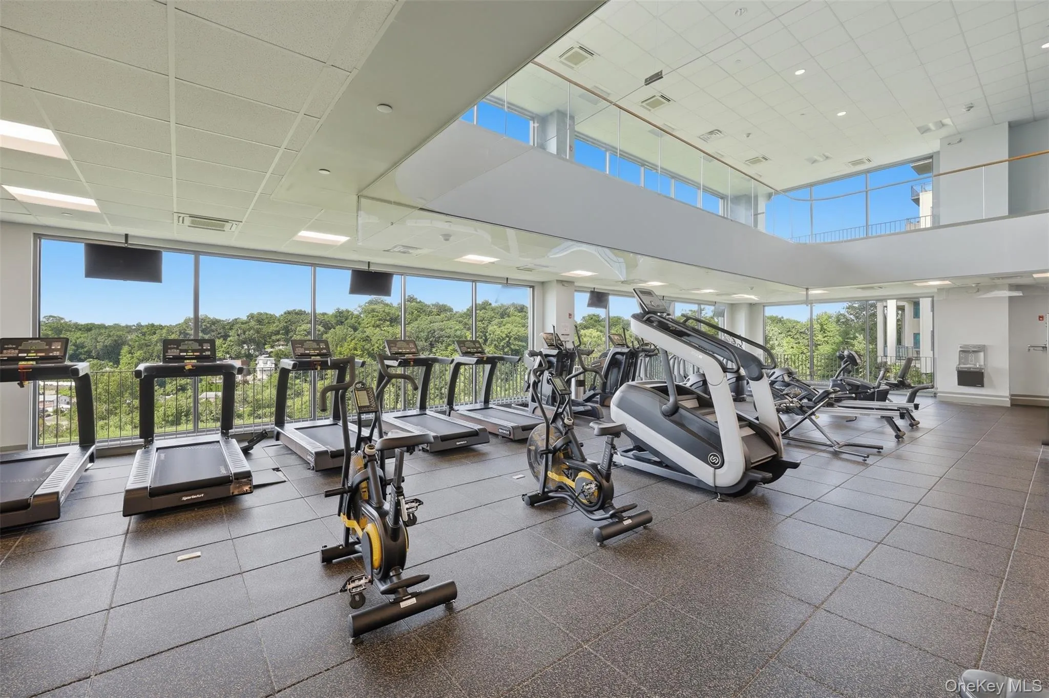 Gym Gym