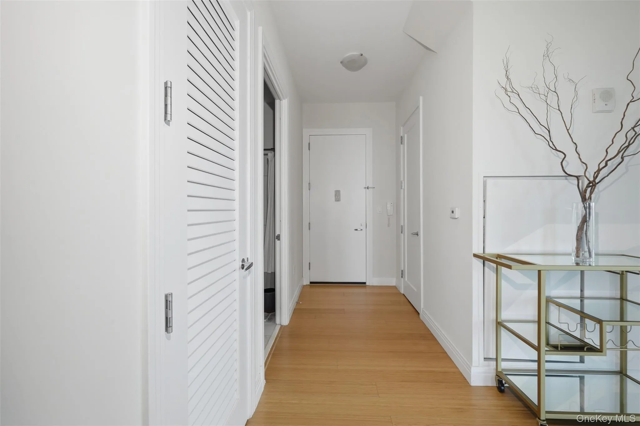 Entrance hall with large closet Entrance hall with large closet