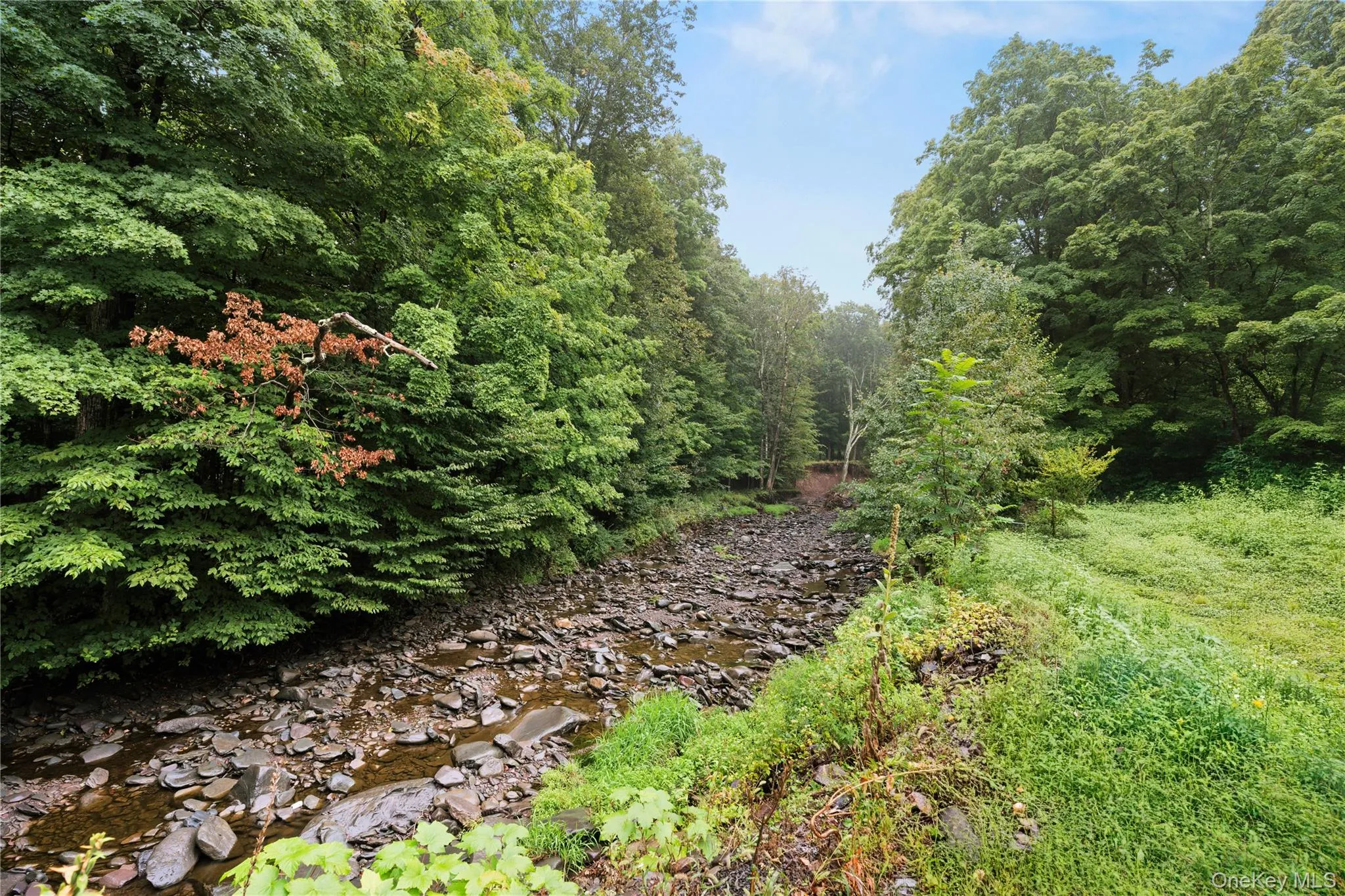 461 Winter Clove Road, Cairo, NY, 3 Bedrooms Bedrooms, 13 Rooms Rooms,2 BathroomsBathrooms,Residential,For Rent,Winter Clove,0,1049063 461 Winter Clove Road, Cairo, NY, 3 Bedrooms Bedrooms, 13 Rooms Rooms,2 BathroomsBathrooms,Residential,For Rent,Winter Clove,0,1049063