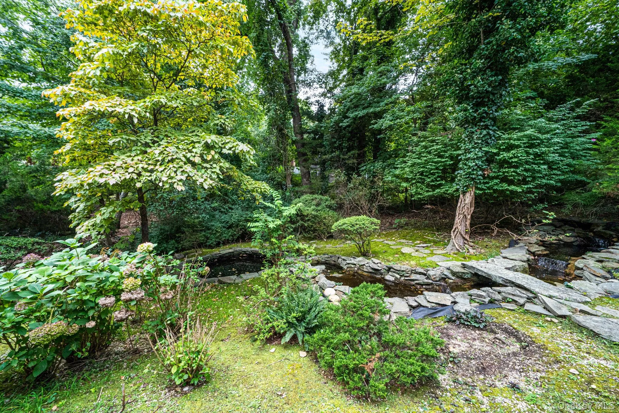Mature trees and water feature Mature trees and water feature