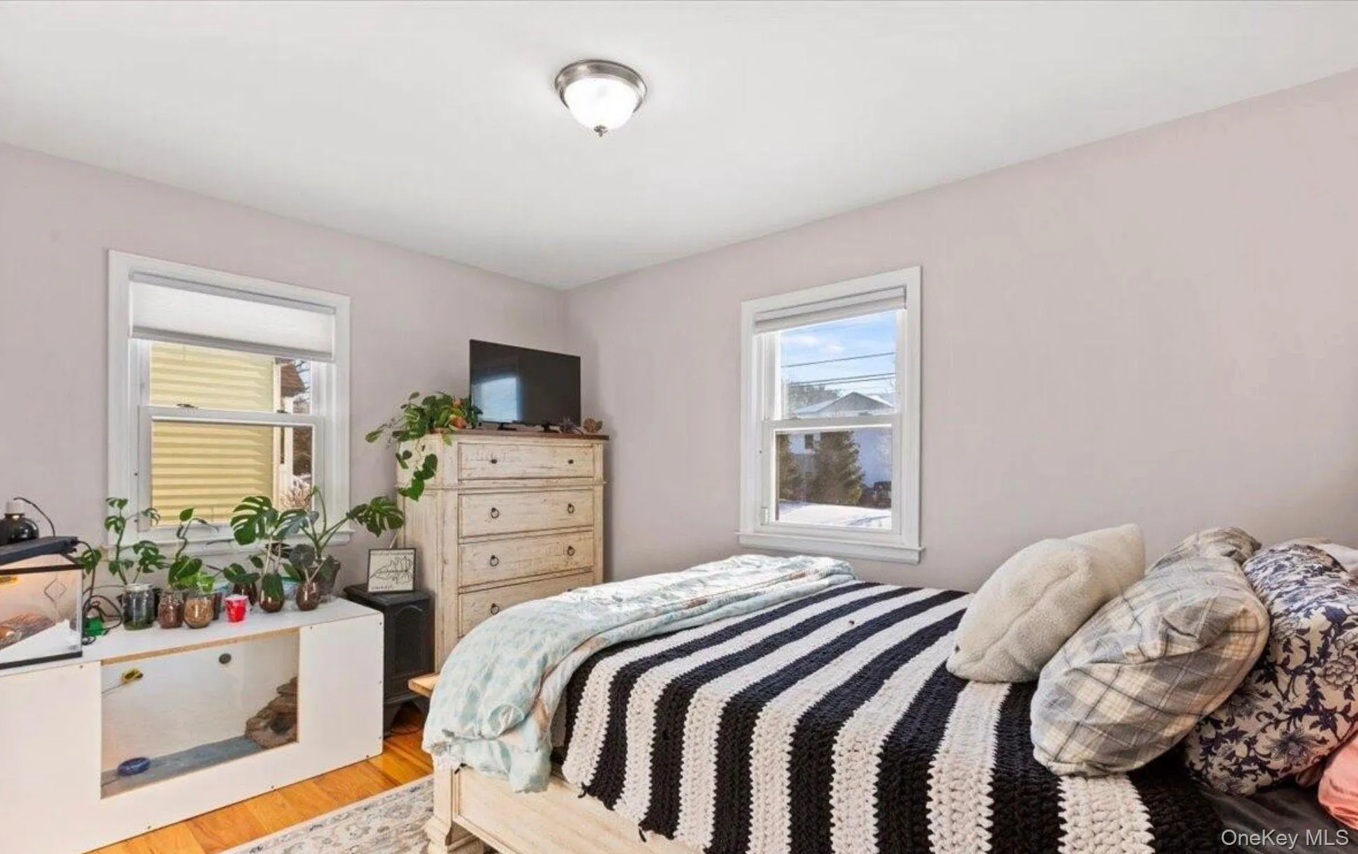 127 Park Avenue, Schenectady, NY, 3 Bedrooms Bedrooms, 4 Rooms Rooms,2 BathroomsBathrooms,Residential,For Rent,Park Avenue,0,1049111 127 Park Avenue, Schenectady, NY, 3 Bedrooms Bedrooms, 4 Rooms Rooms,2 BathroomsBathrooms,Residential,For Rent,Park Avenue,0,1049111