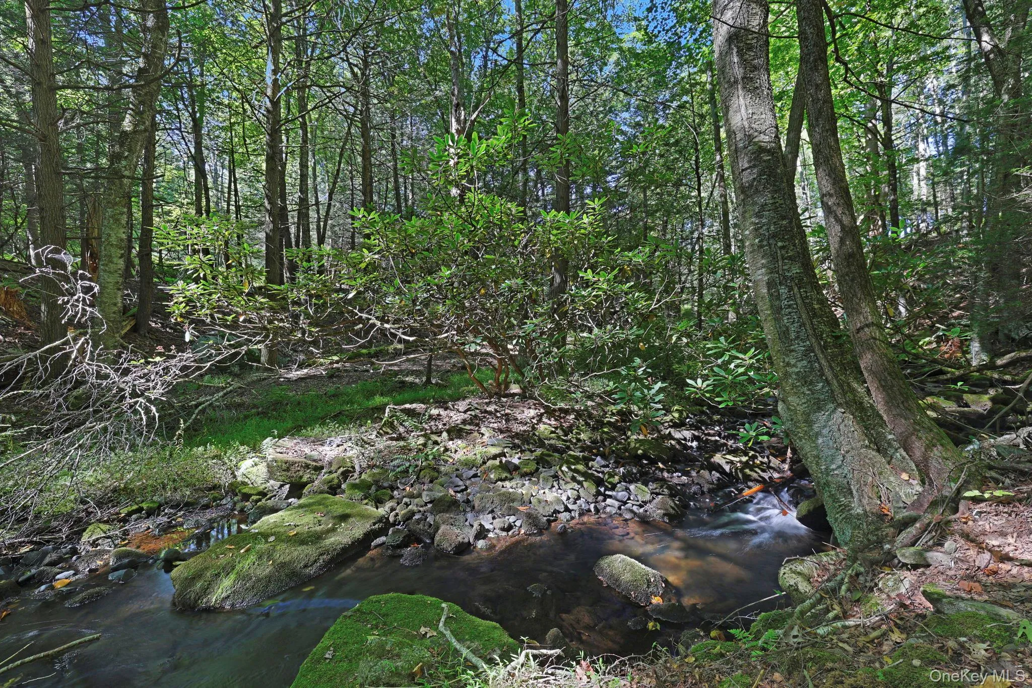 South Brook - South Brook -