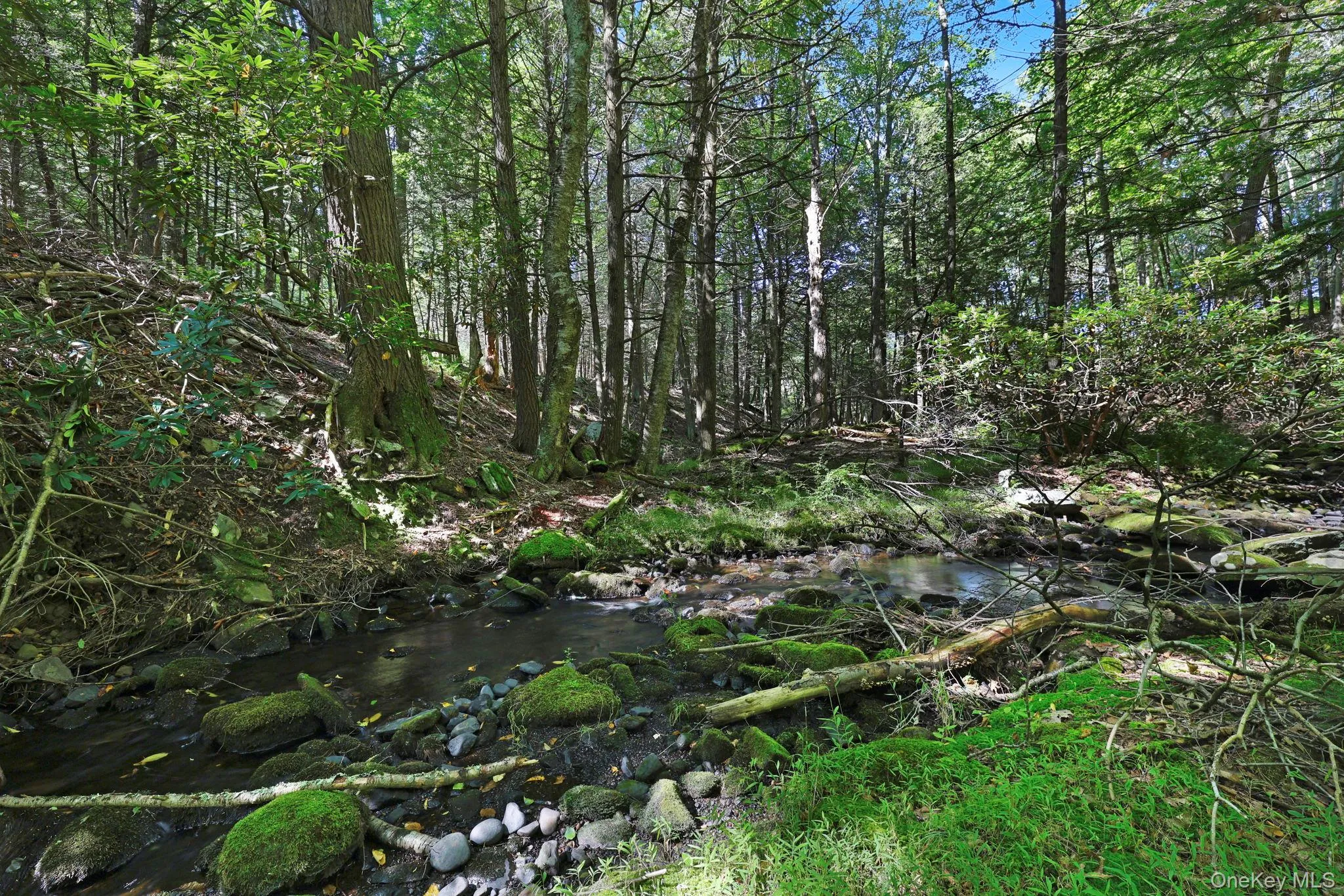 290 County Route 56, Mamakating, NY, 2 Bedrooms Bedrooms, 4 Rooms Rooms,1 BathroomBathrooms,Residential,For Rent,County Route 56,0,1049127 290 County Route 56, Mamakating, NY, 2 Bedrooms Bedrooms, 4 Rooms Rooms,1 BathroomBathrooms,Residential,For Rent,County Route 56,0,1049127