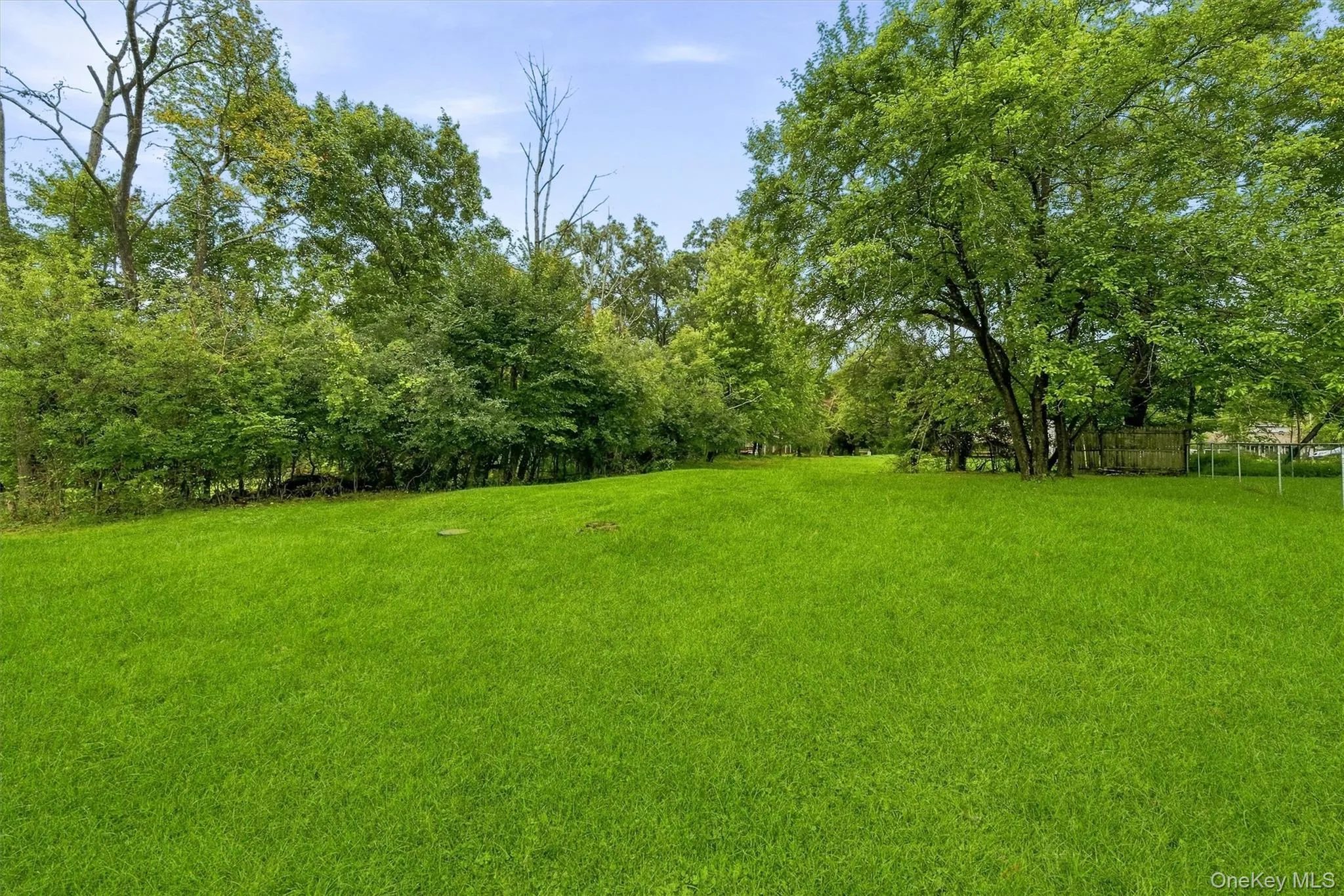 Expansive green lawn with mature trees and natural landscaping Expansive green lawn with mature trees and natural landscaping