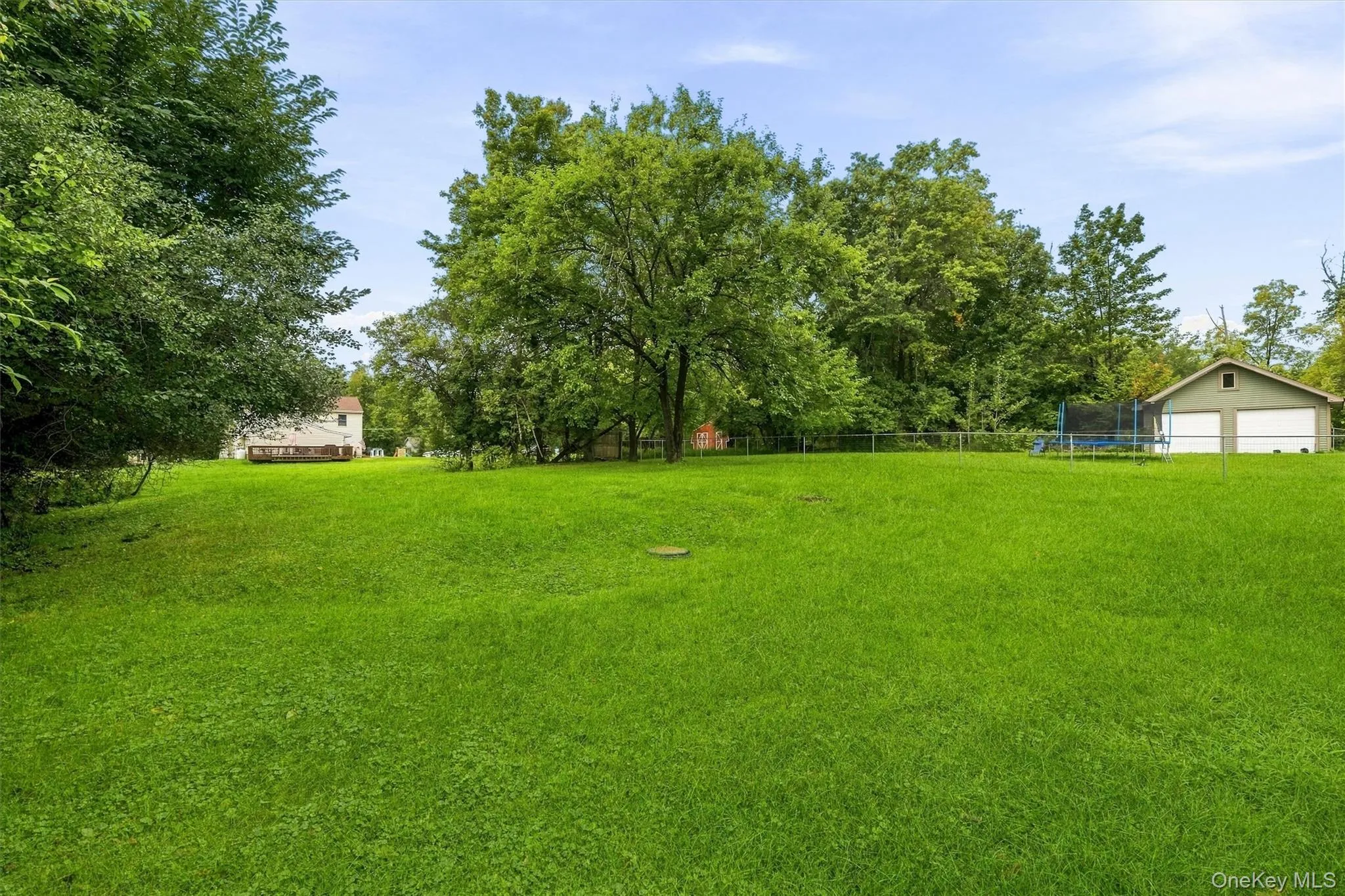Expansive grassy yard with mature trees and a detached garage featuring two roll-up doors Expansive grassy yard with mature trees and a detached garage featuring two roll-up doors