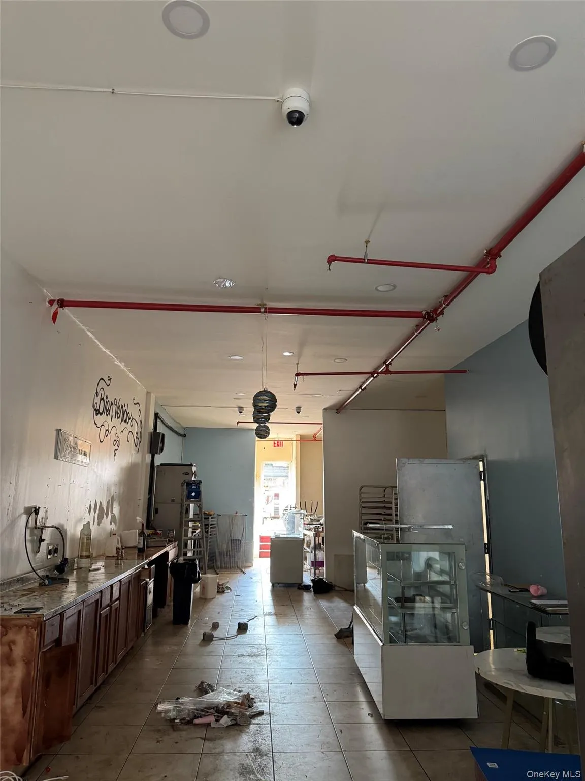 84-52 Grand Avenue, New York, NY, ,Commercial Lease,For Rent,Grand,0,1049157 84-52 Grand Avenue, New York, NY, ,Commercial Lease,For Rent,Grand,0,1049157