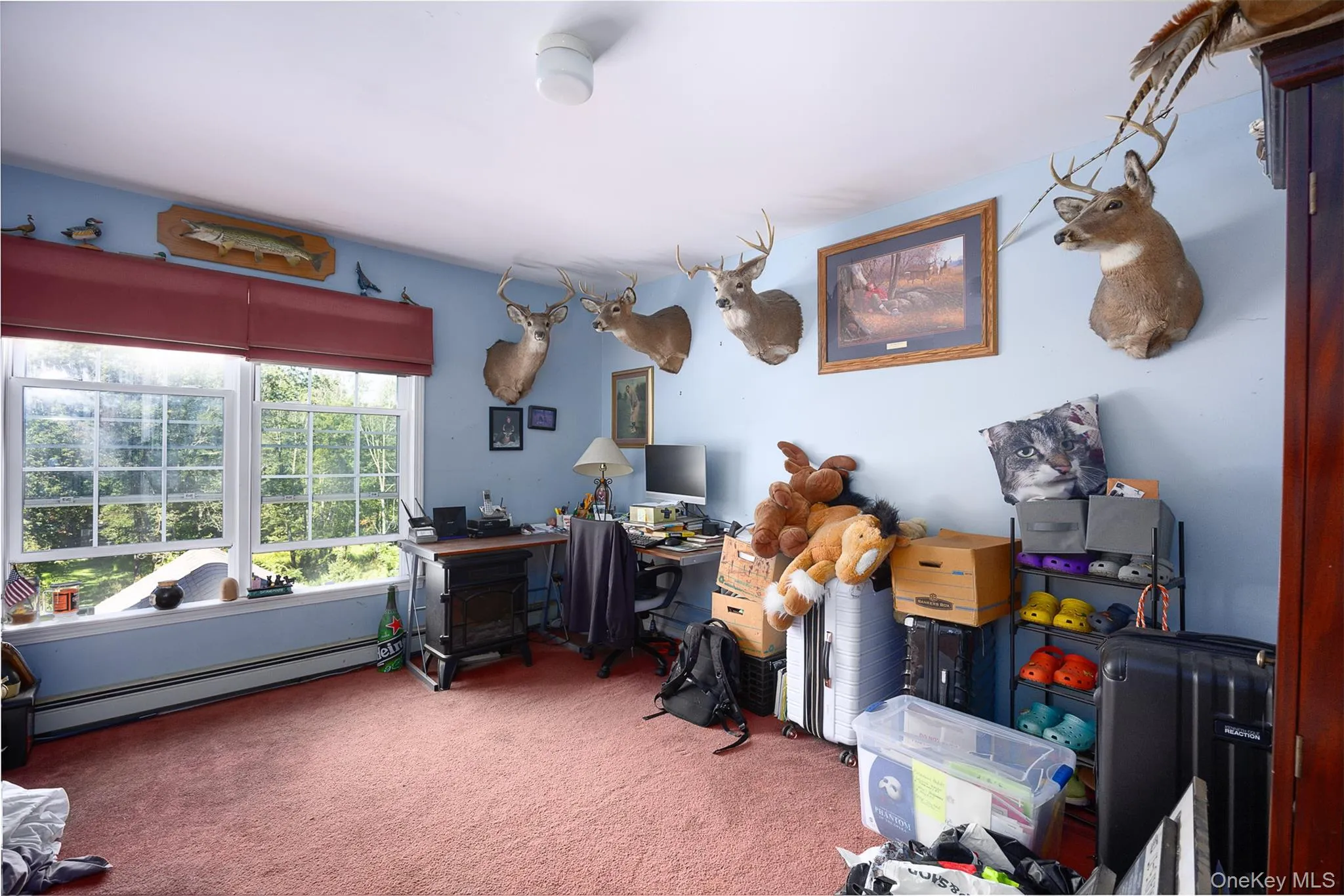 250 Highview Road, Union Vale, NY, 3 Bedrooms Bedrooms, 10 Rooms Rooms,3 BathroomsBathrooms,Residential,For Rent,Highview,0,1049190 250 Highview Road, Union Vale, NY, 3 Bedrooms Bedrooms, 10 Rooms Rooms,3 BathroomsBathrooms,Residential,For Rent,Highview,0,1049190