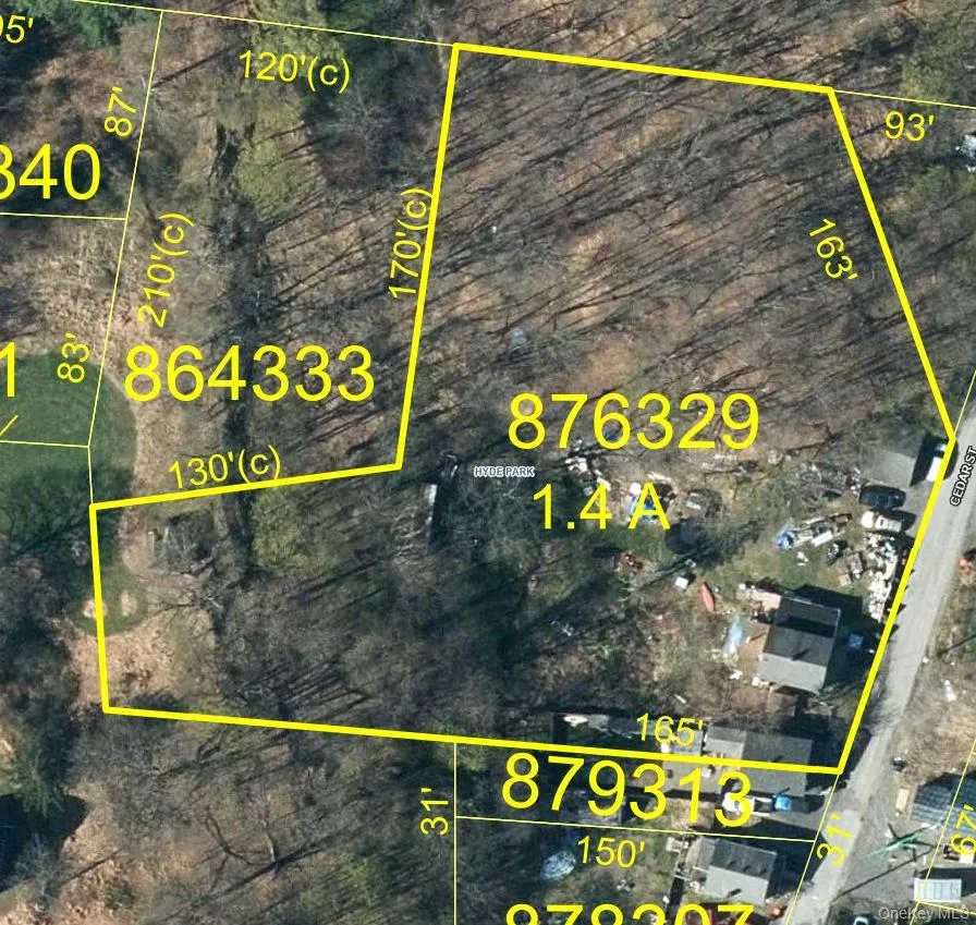Tax Map with property lines delineated Tax Map with property lines delineated