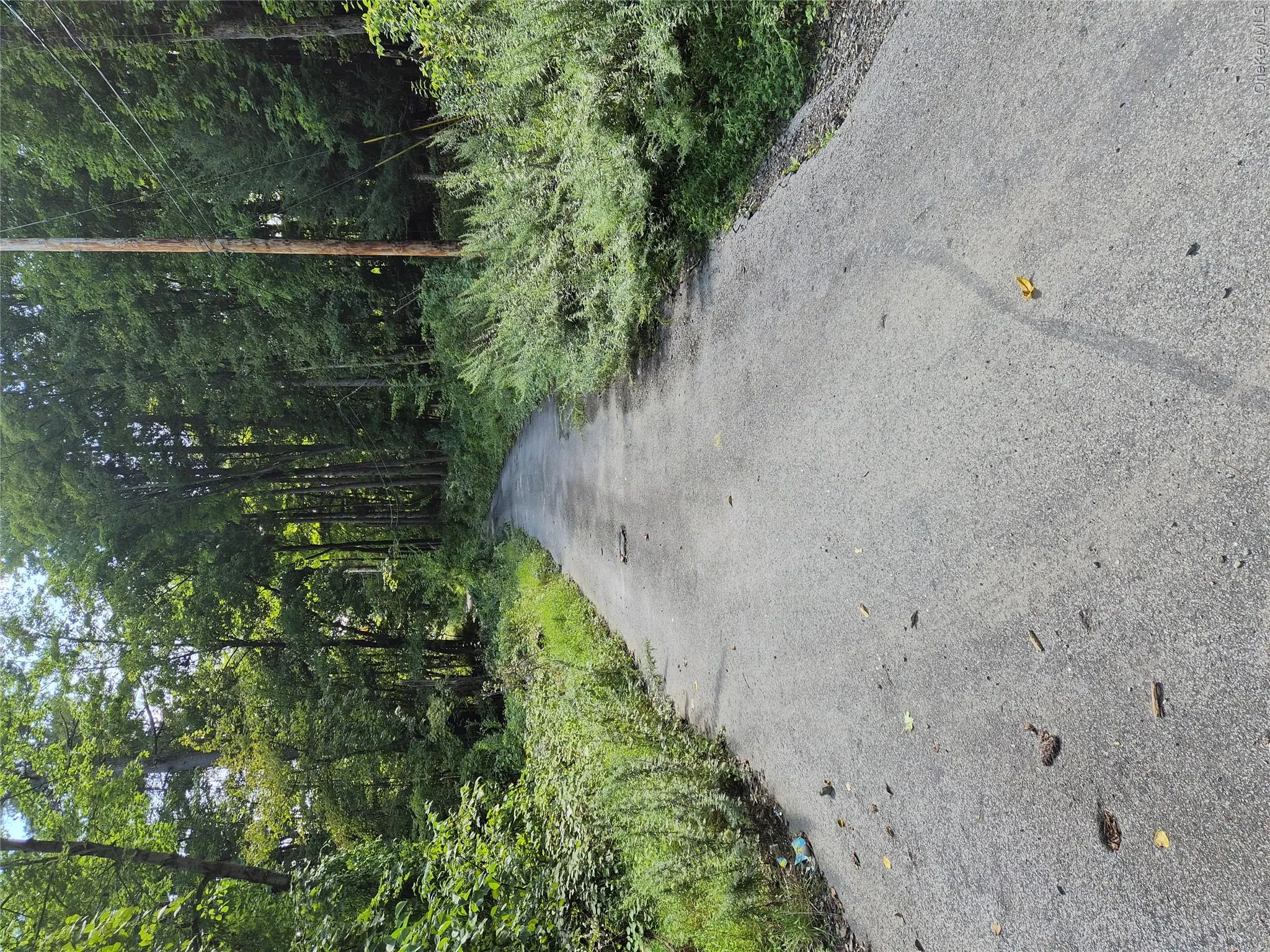 Trail at back of property leading to Norrie Point Environmental Center Trail at back of property leading to Norrie Point Environmental Center