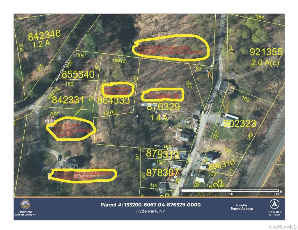 Map showing the State Park parcels surrounding 10 Cedar St Map showing the State Park parcels surrounding 10 Cedar St