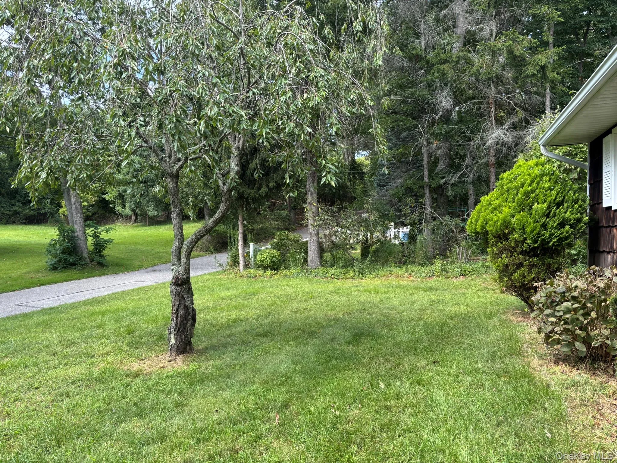 Front yard. Front yard.