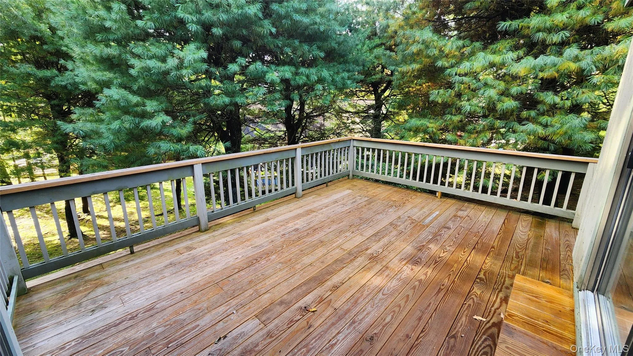 Large deck Large deck