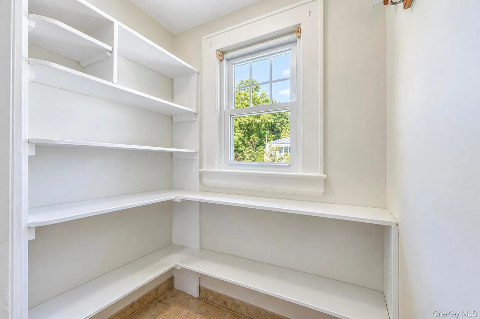 49 Collins Avenue, Smithtown, NY, 3 Bedrooms Bedrooms, 5 Rooms Rooms,2 BathroomsBathrooms,Residential,For Rent,Collins,0,1049291 49 Collins Avenue, Smithtown, NY, 3 Bedrooms Bedrooms, 5 Rooms Rooms,2 BathroomsBathrooms,Residential,For Rent,Collins,0,1049291