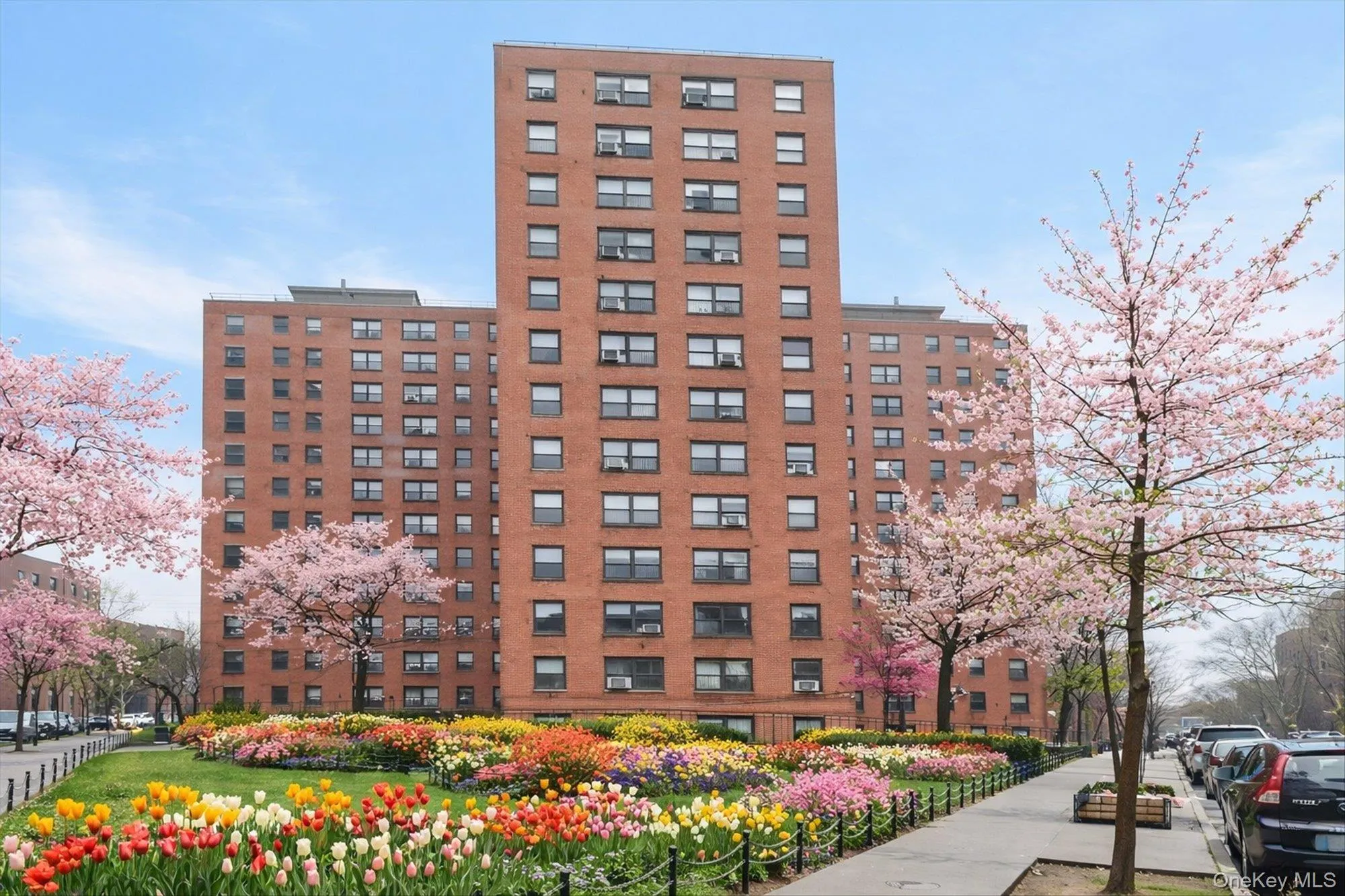 99-32 66 Road, New York, NY, 2 Bedrooms Bedrooms, 4 Rooms Rooms,1 BathroomBathrooms,Residential,For Rent,66,0,1049292 99-32 66 Road, New York, NY, 2 Bedrooms Bedrooms, 4 Rooms Rooms,1 BathroomBathrooms,Residential,For Rent,66,0,1049292