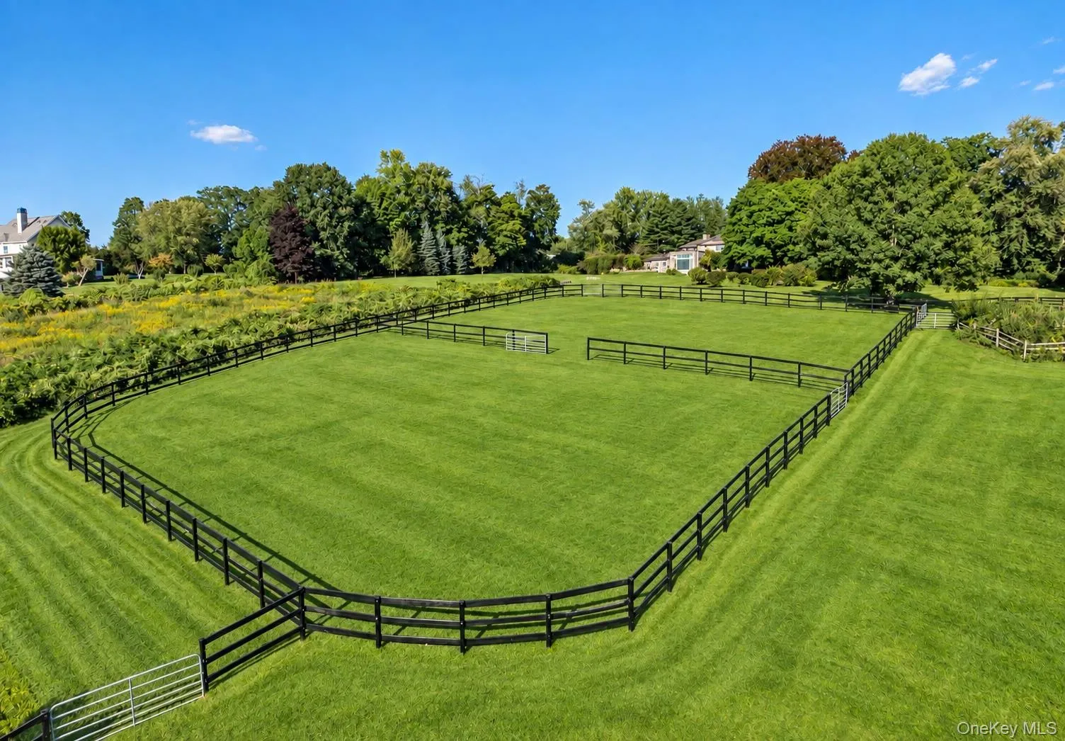 Sweeping Paddocks Sweeping Paddocks