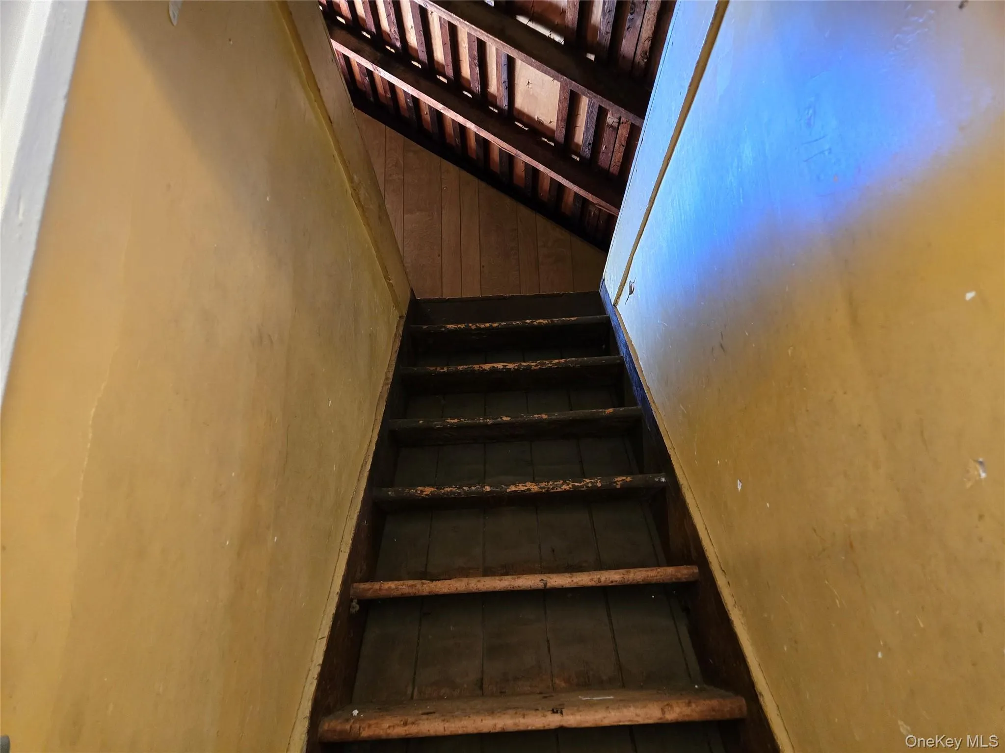 415 Myrtle Avenue, Brookhaven, NY, 2 Bedroom Bedrooms, 5 Room Rooms,1 BathroomBathrooms,Residential Lease,For Rent,Myrtle,0,1049333 415 Myrtle Avenue, Brookhaven, NY, 2 Bedroom Bedrooms, 5 Room Rooms,1 BathroomBathrooms,Residential Lease,For Rent,Myrtle,0,1049333