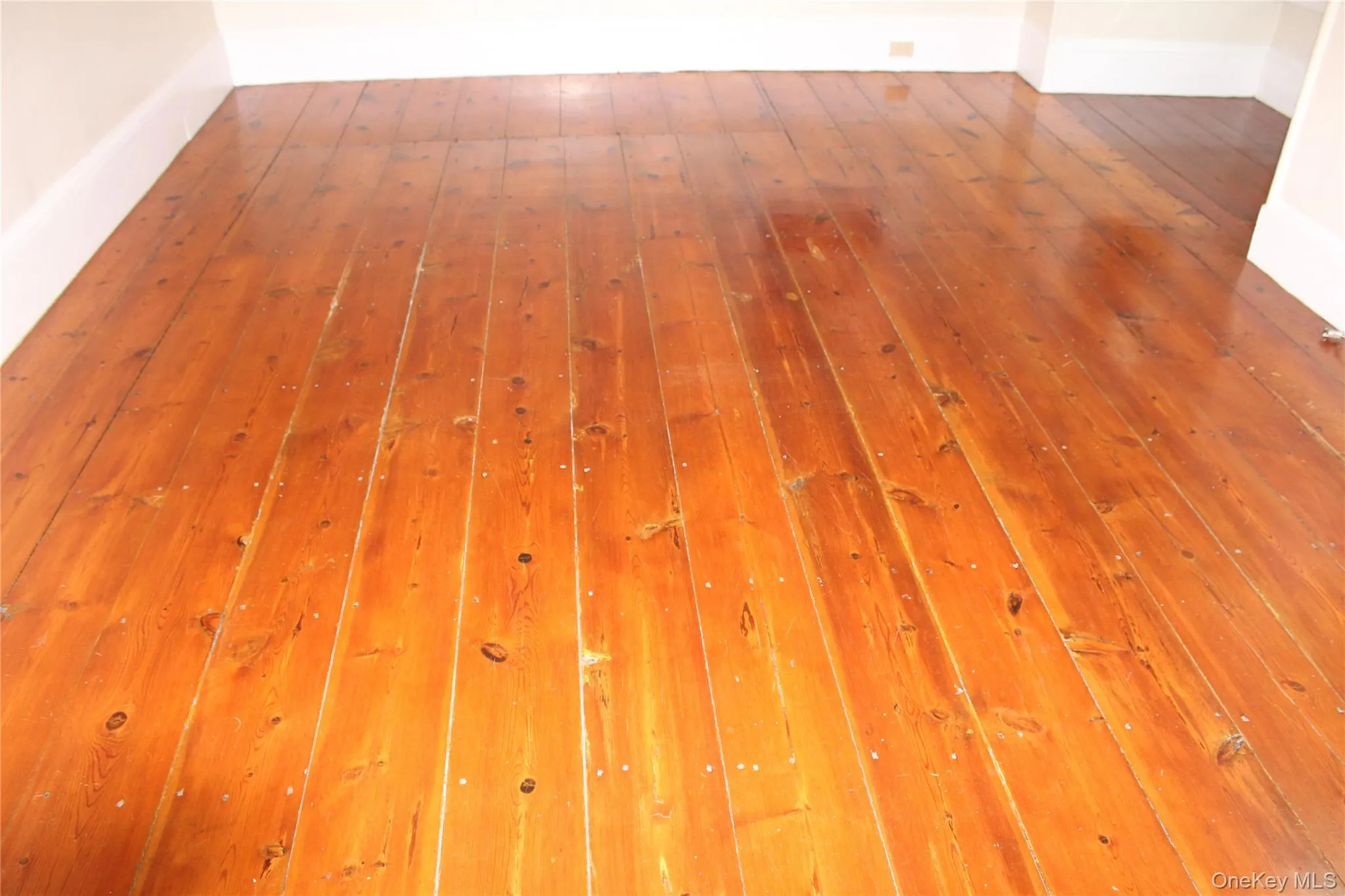 244 Lippincott Road, Shawangunk, NY, 3 Bedrooms Bedrooms, 7 Rooms Rooms,1 BathroomBathrooms,Residential Lease,For Rent,Lippincott,0,1049390 244 Lippincott Road, Shawangunk, NY, 3 Bedrooms Bedrooms, 7 Rooms Rooms,1 BathroomBathrooms,Residential Lease,For Rent,Lippincott,0,1049390