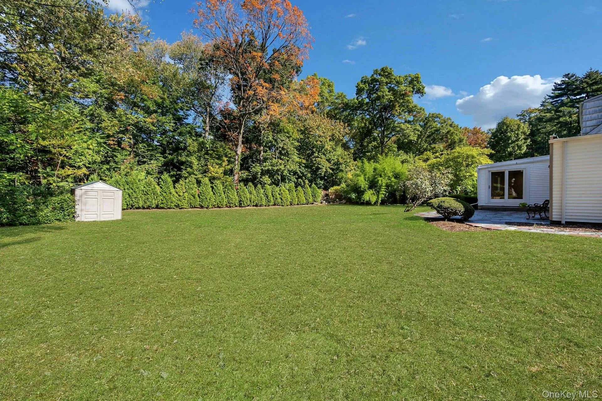 Expensive side and backyard Expensive side and backyard