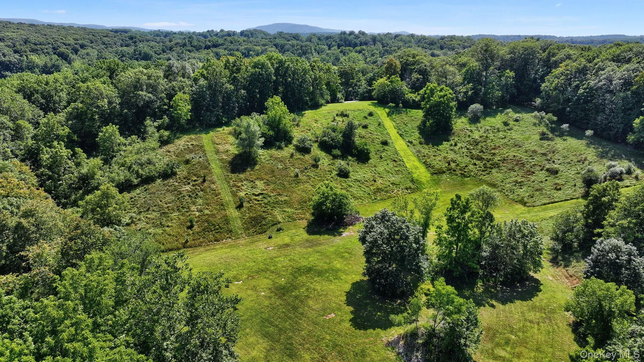 Drone / aerial view of a forest Drone / aerial view of a forest