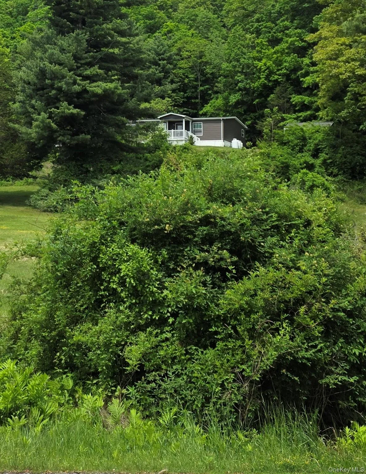 559 Lake Road, Pine Plains, NY, 2 Bedrooms Bedrooms, 7 Rooms Rooms,2 BathroomsBathrooms,Residential,For Rent,Lake,0,1049475 559 Lake Road, Pine Plains, NY, 2 Bedrooms Bedrooms, 7 Rooms Rooms,2 BathroomsBathrooms,Residential,For Rent,Lake,0,1049475