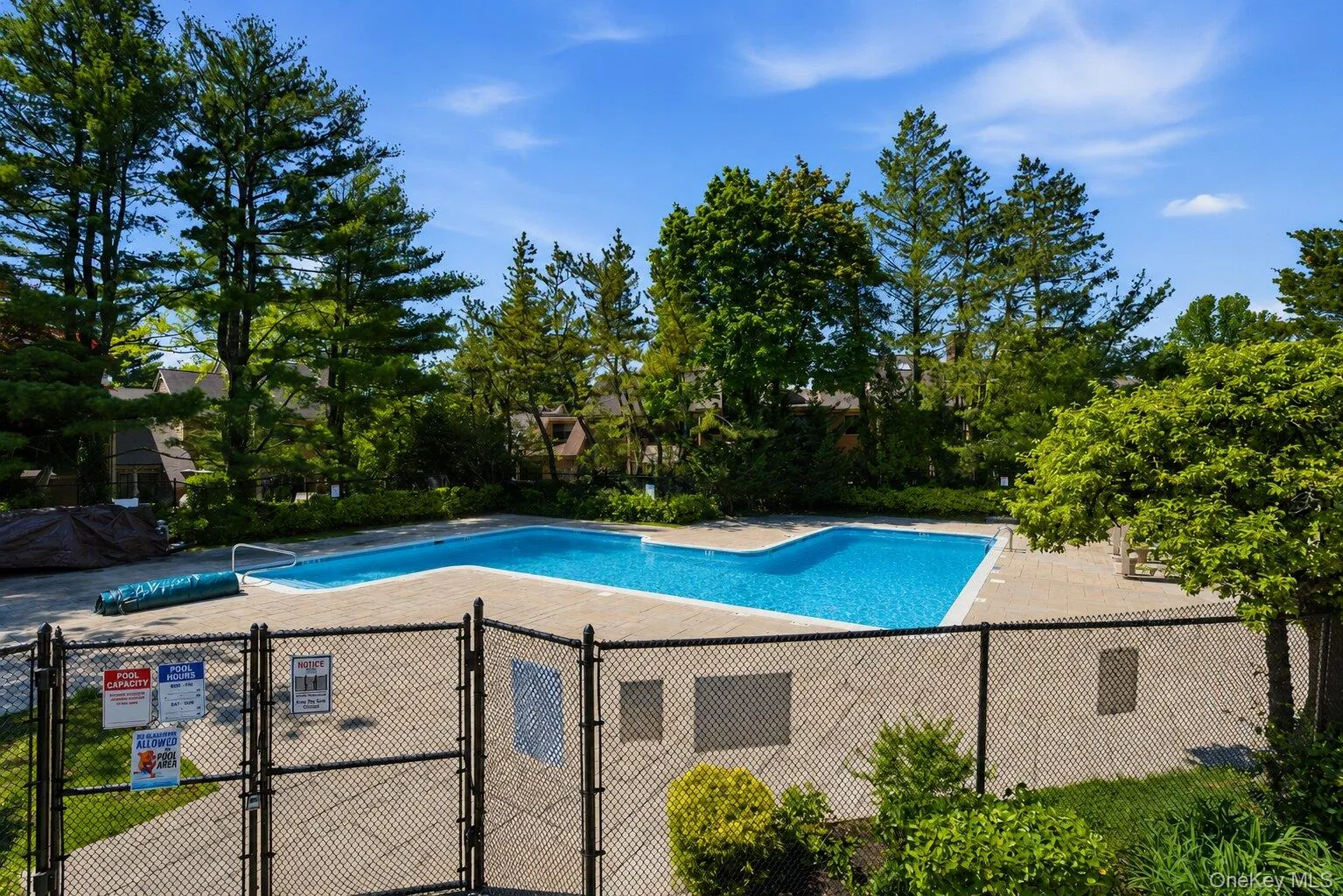 246 Treetop Crescent, Rye Town, NY, 2 Bedrooms Bedrooms, 5 Rooms Rooms,2 BathroomsBathrooms,Residential,For Rent,Treetop,0,1049483 246 Treetop Crescent, Rye Town, NY, 2 Bedrooms Bedrooms, 5 Rooms Rooms,2 BathroomsBathrooms,Residential,For Rent,Treetop,0,1049483