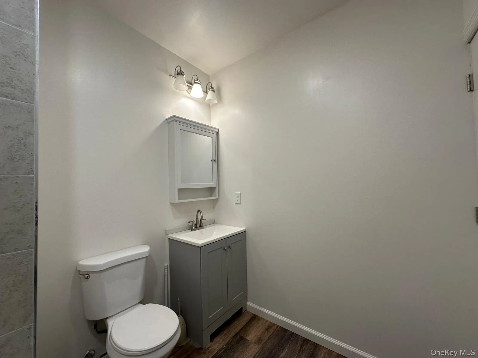 Gray vanity with integrated white sink, wall-mounted medicine cabinet, and wood-finish flooring Gray vanity with integrated white sink, wall-mounted medicine cabinet, and wood-finish flooring