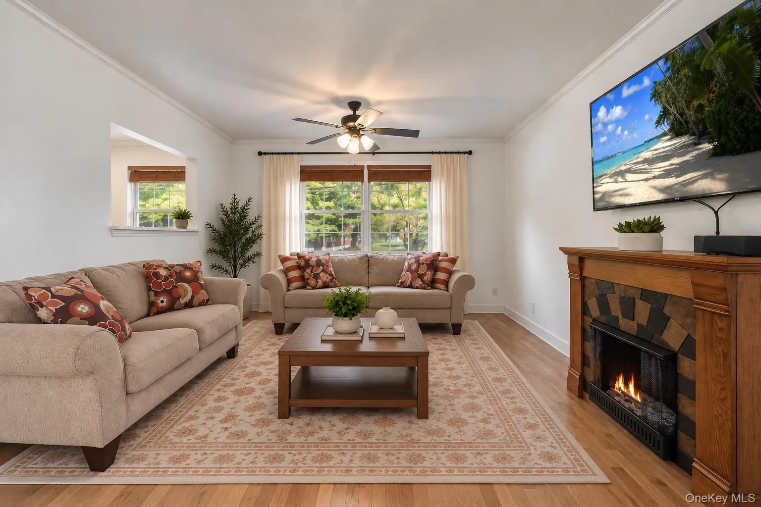 Living Room Featuring Stand-Alone Fireplace. Virtually Staged Coffee Table, Rug, and Plant Living Room Featuring Stand-Alone Fireplace. Virtually Staged Coffee Table, Rug, and Plant