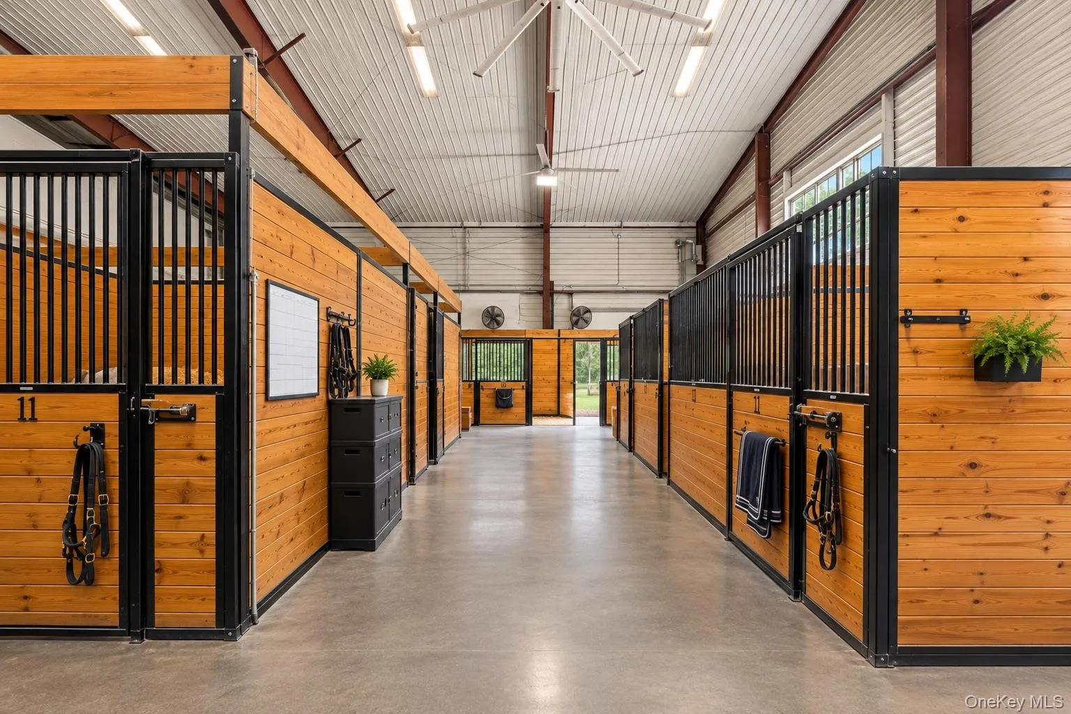 12-stall barn 12-stall barn