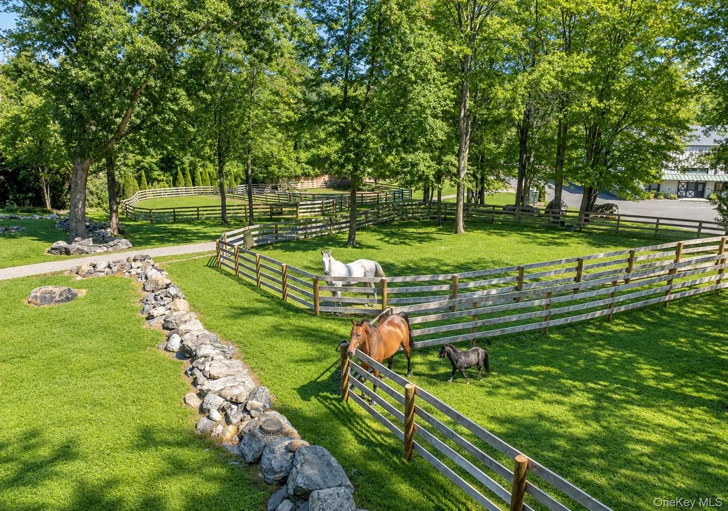 Fenced paddocks Fenced paddocks