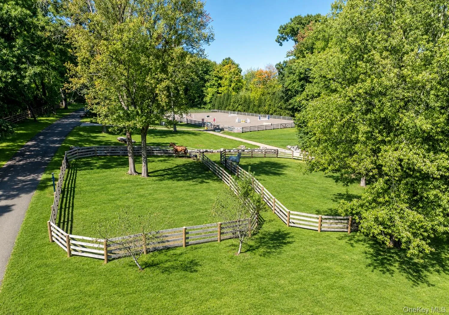 Shaded paddocks Shaded paddocks