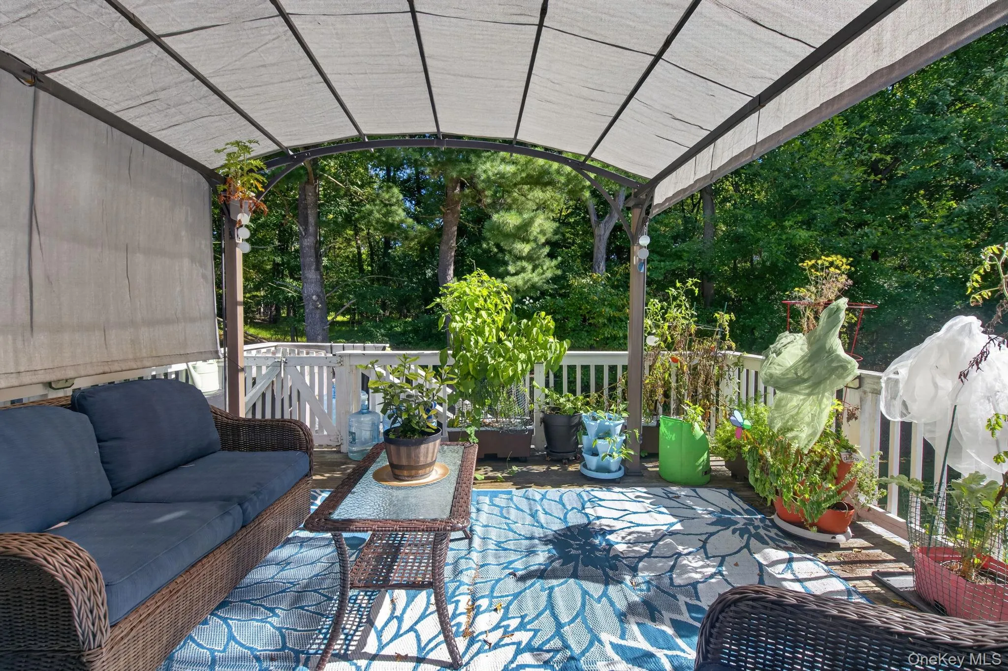 11 Amy Lane, Middletown, NY, 5 Bedrooms Bedrooms, 10 Rooms Rooms,4 BathroomsBathrooms,Residential,For Rent,Amy,0,1049513 11 Amy Lane, Middletown, NY, 5 Bedrooms Bedrooms, 10 Rooms Rooms,4 BathroomsBathrooms,Residential,For Rent,Amy,0,1049513
